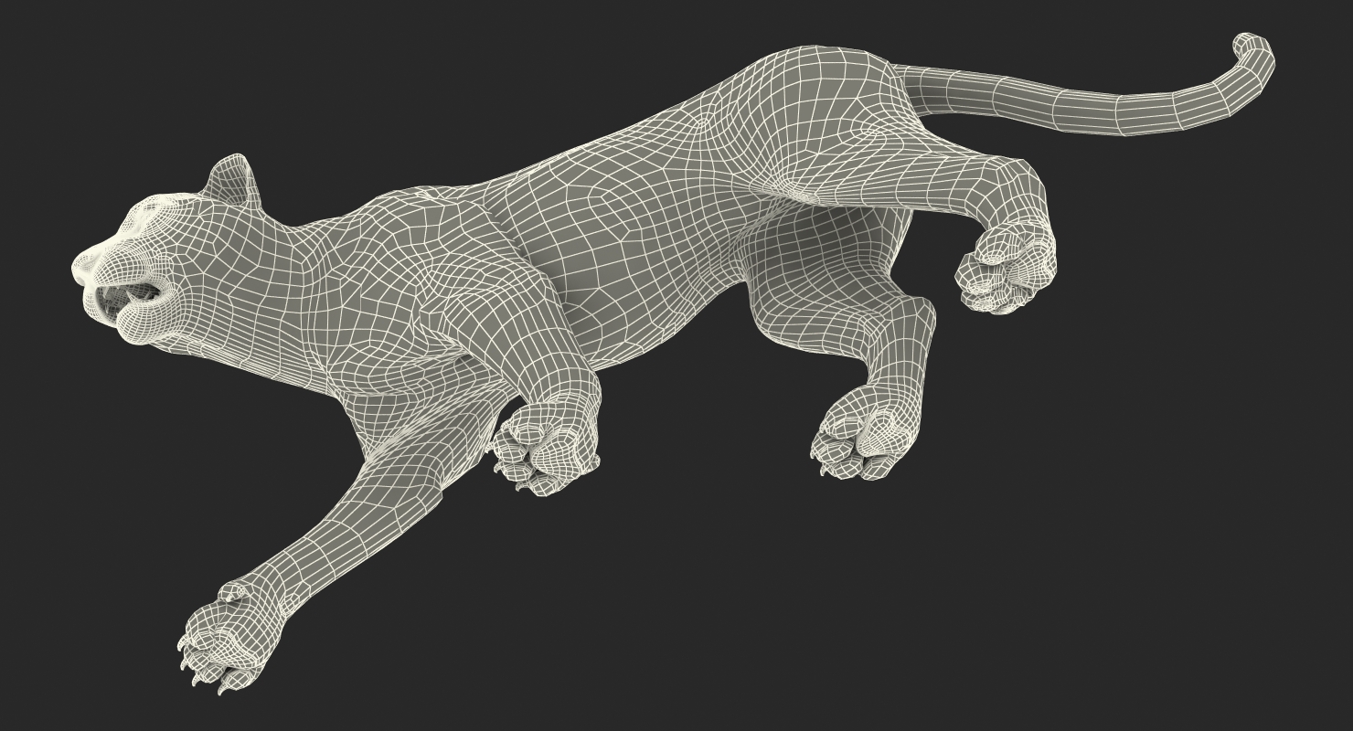 White Tiger Walkig Pose with Fur 3D