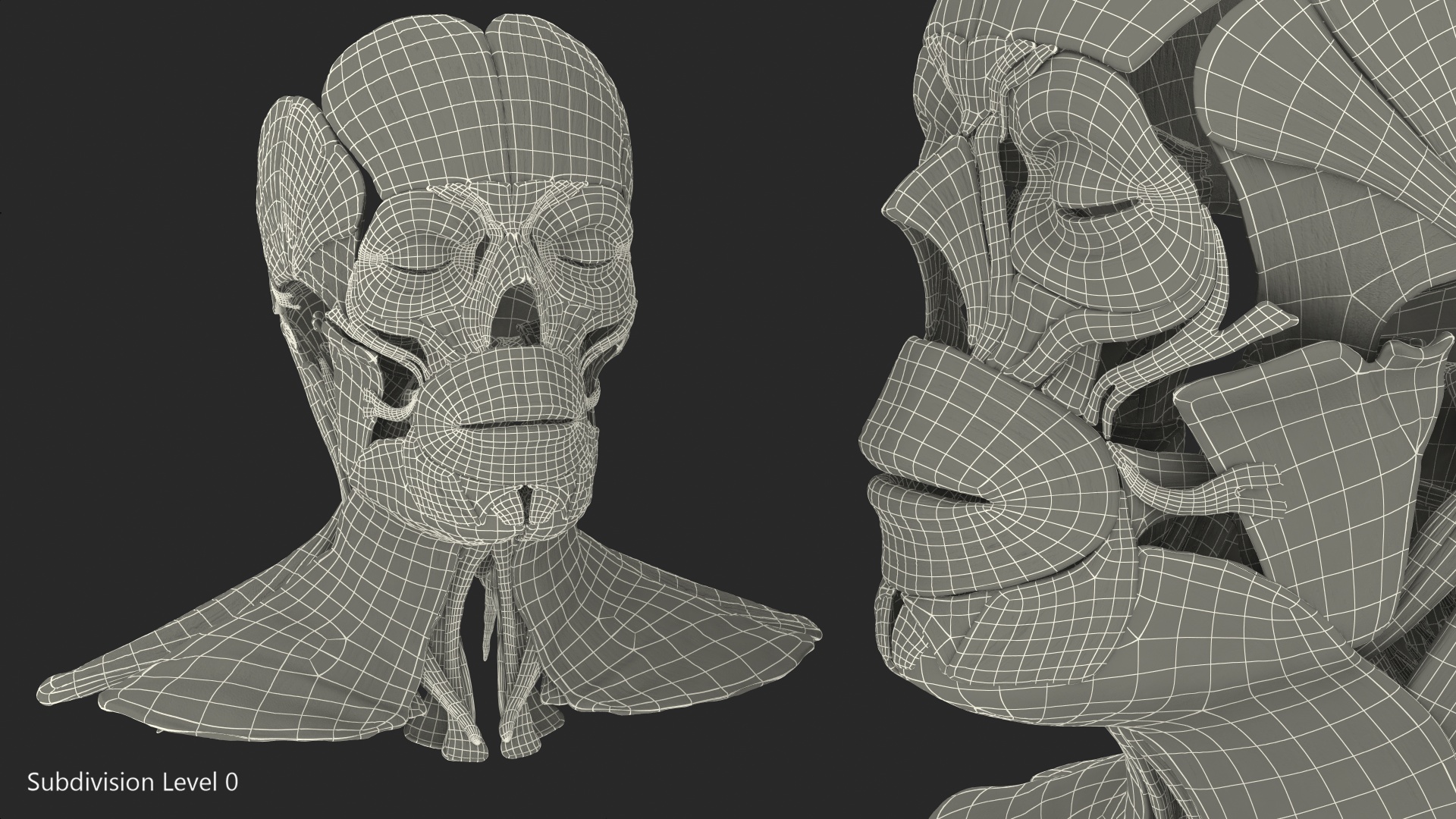 3D Human Head Muscular System