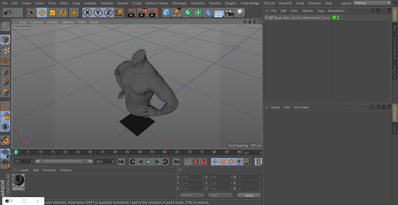 Black Man Sports Mannequin Torso 3D