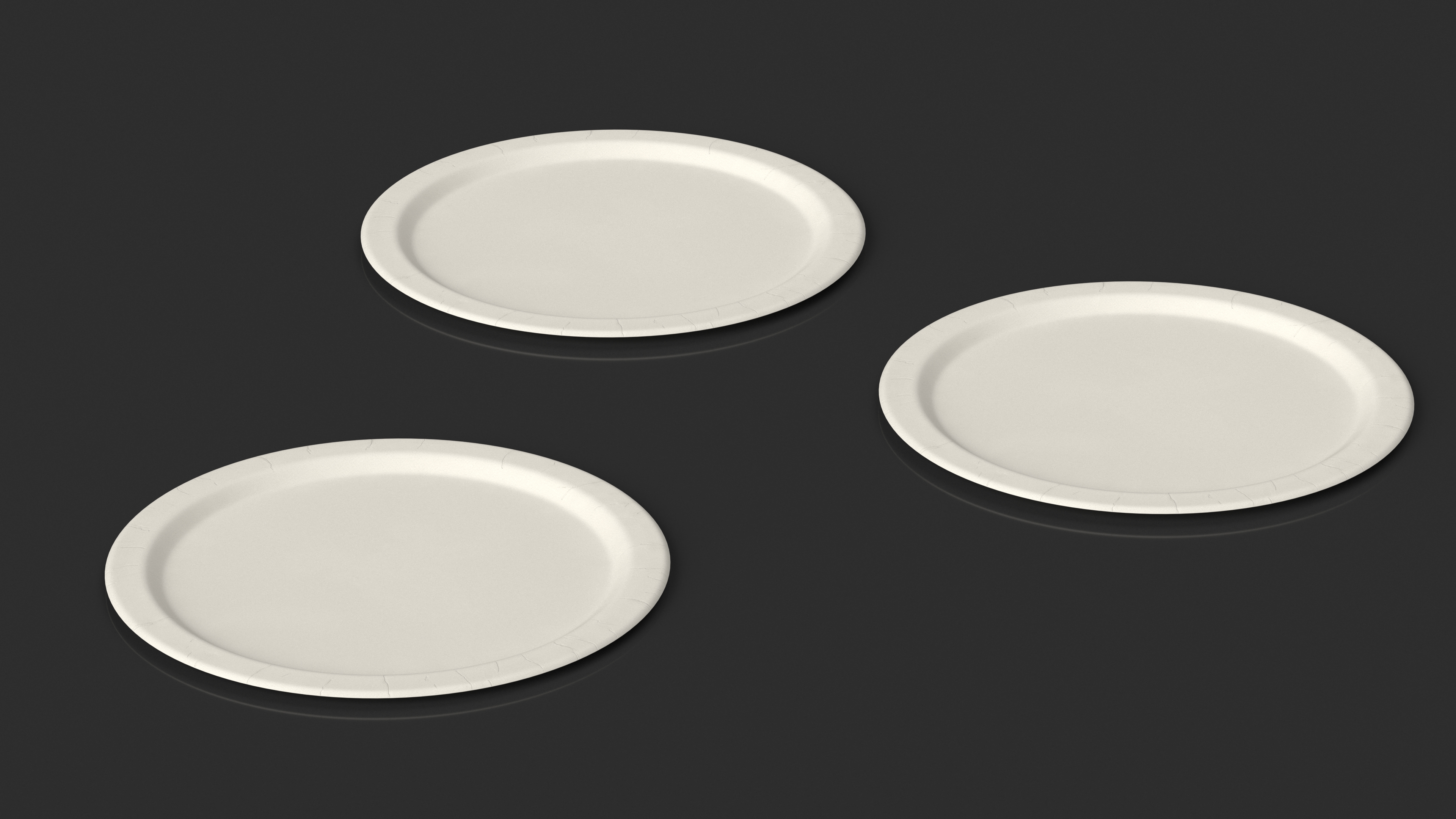 Disposable Paper Plate 3D