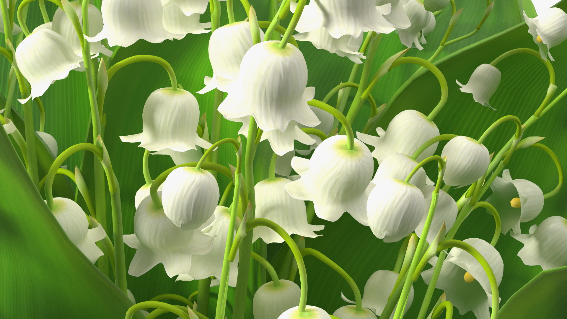 3D model Lily of the Valley Bouquet Big