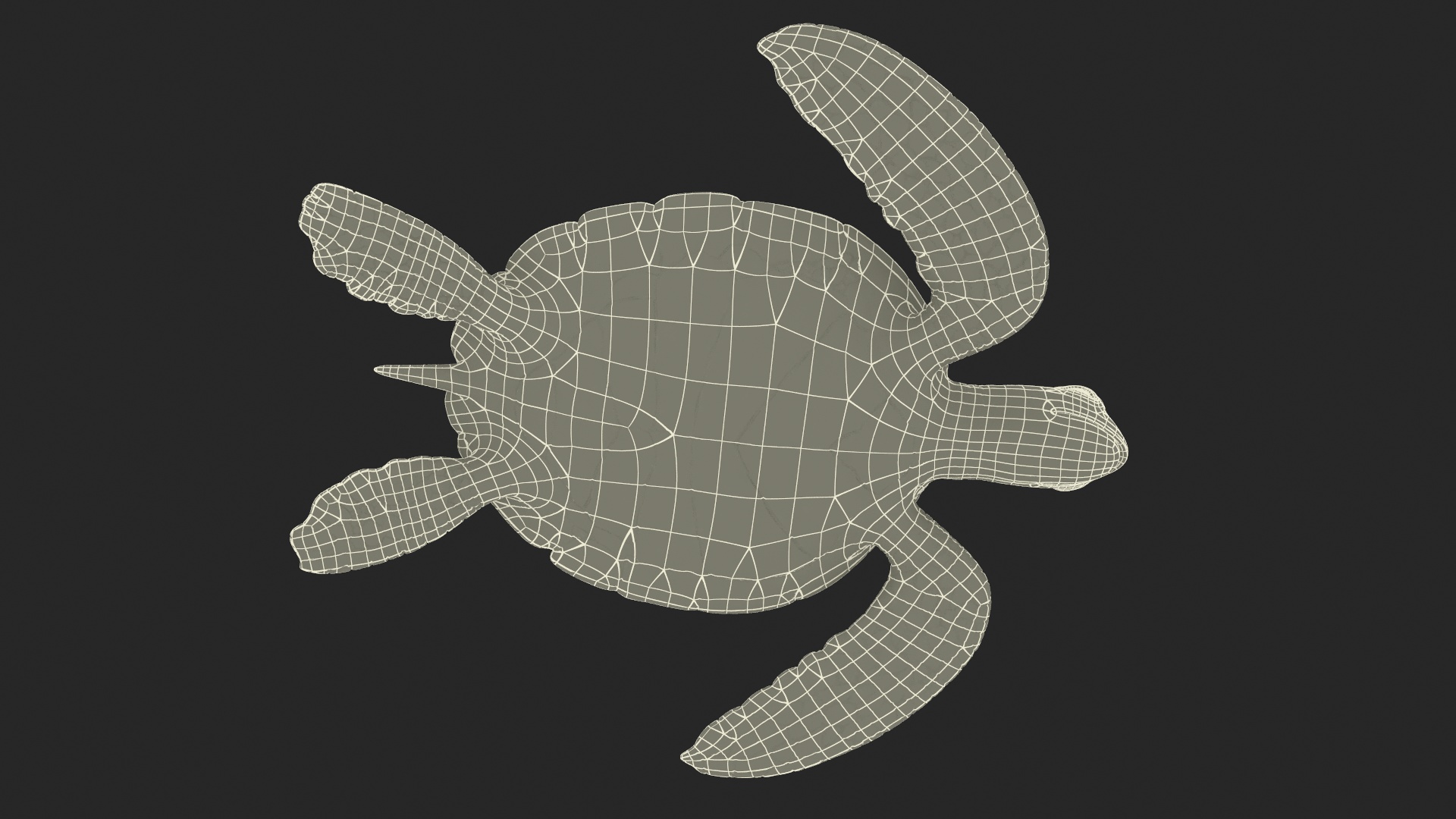 3D Sea Turtle Brown