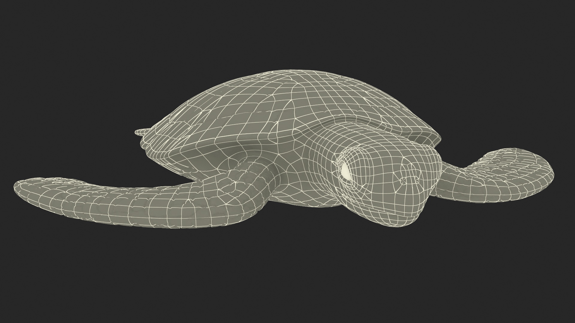 3D Sea Turtle Brown