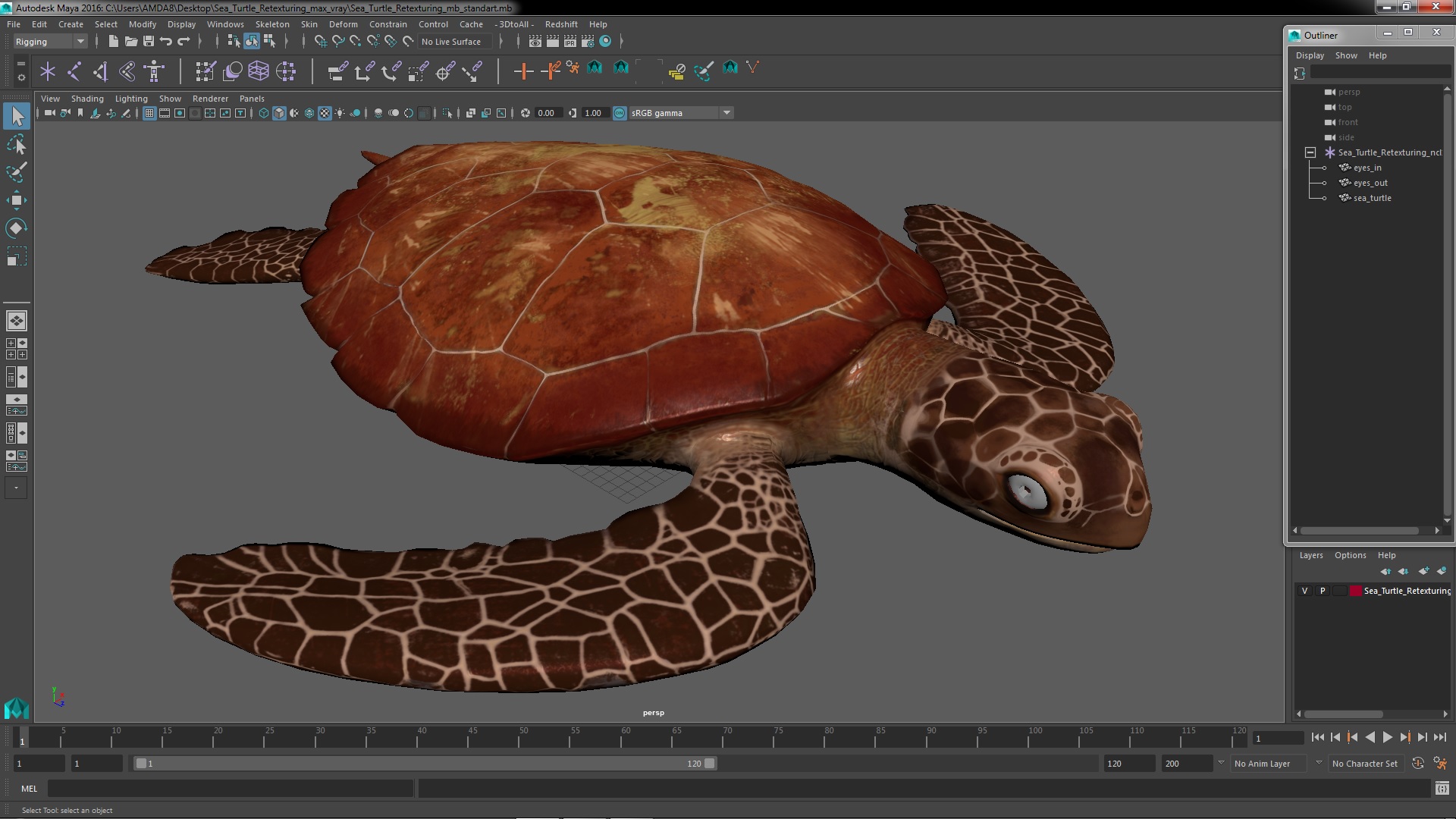 3D Sea Turtle Brown