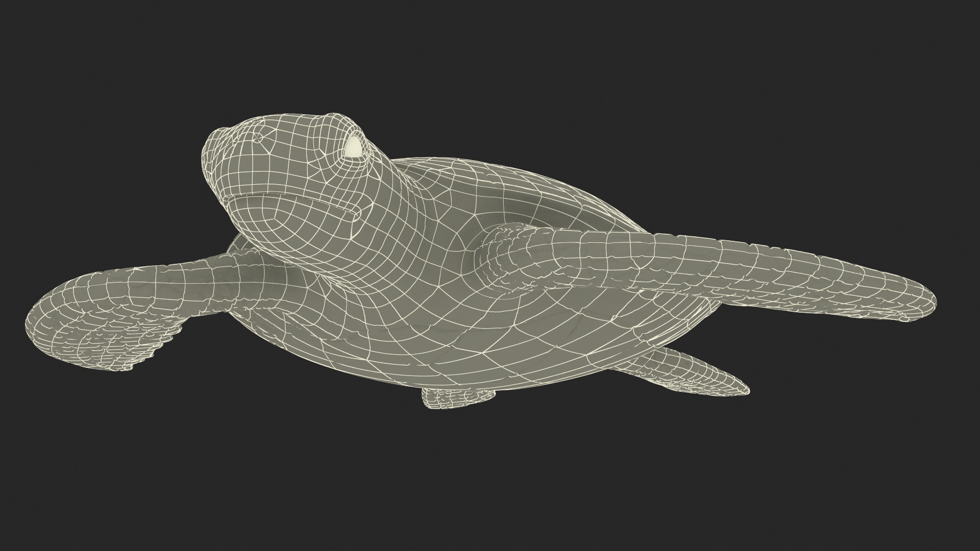3D Sea Turtle Brown