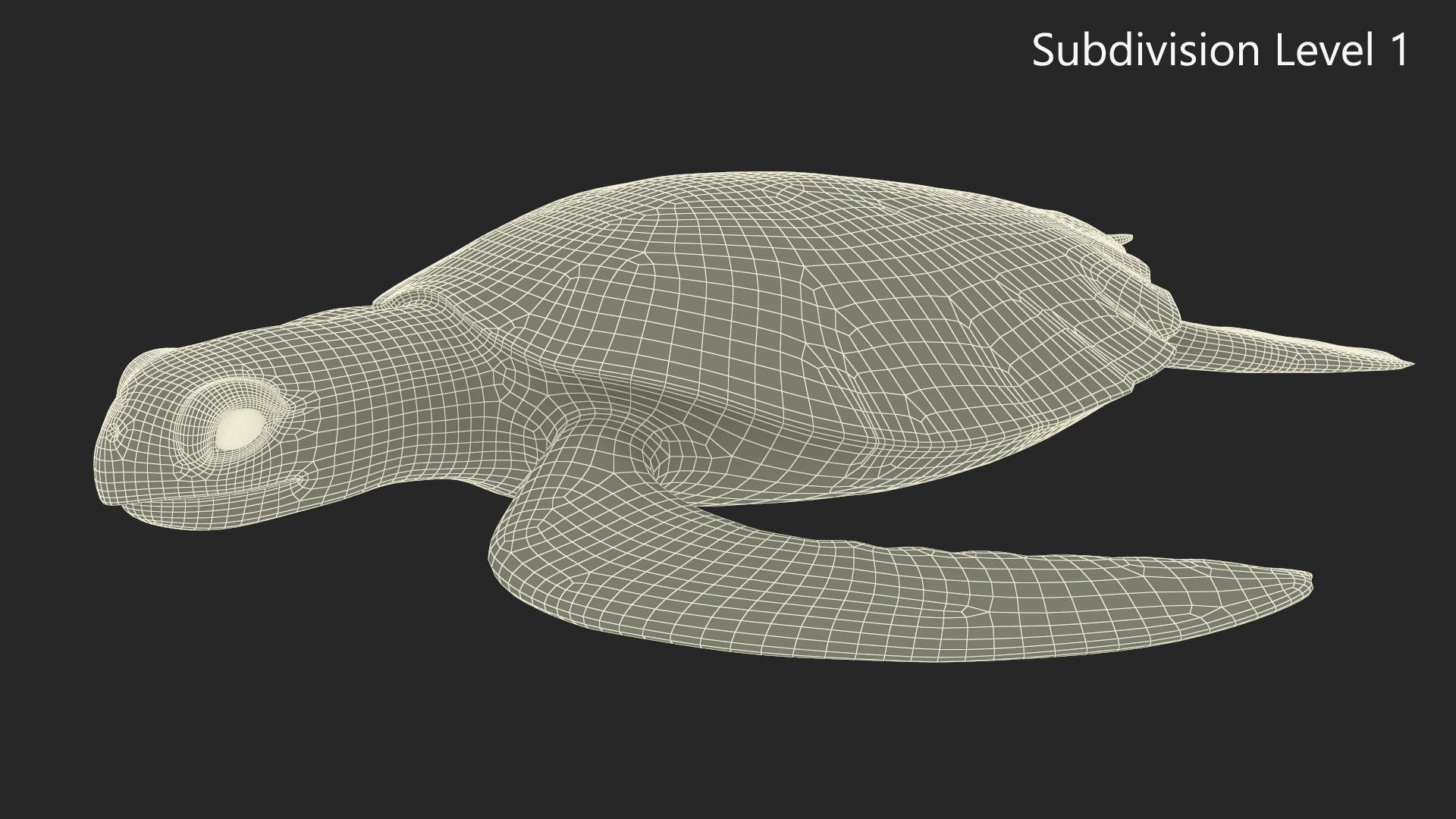 3D Sea Turtle Brown