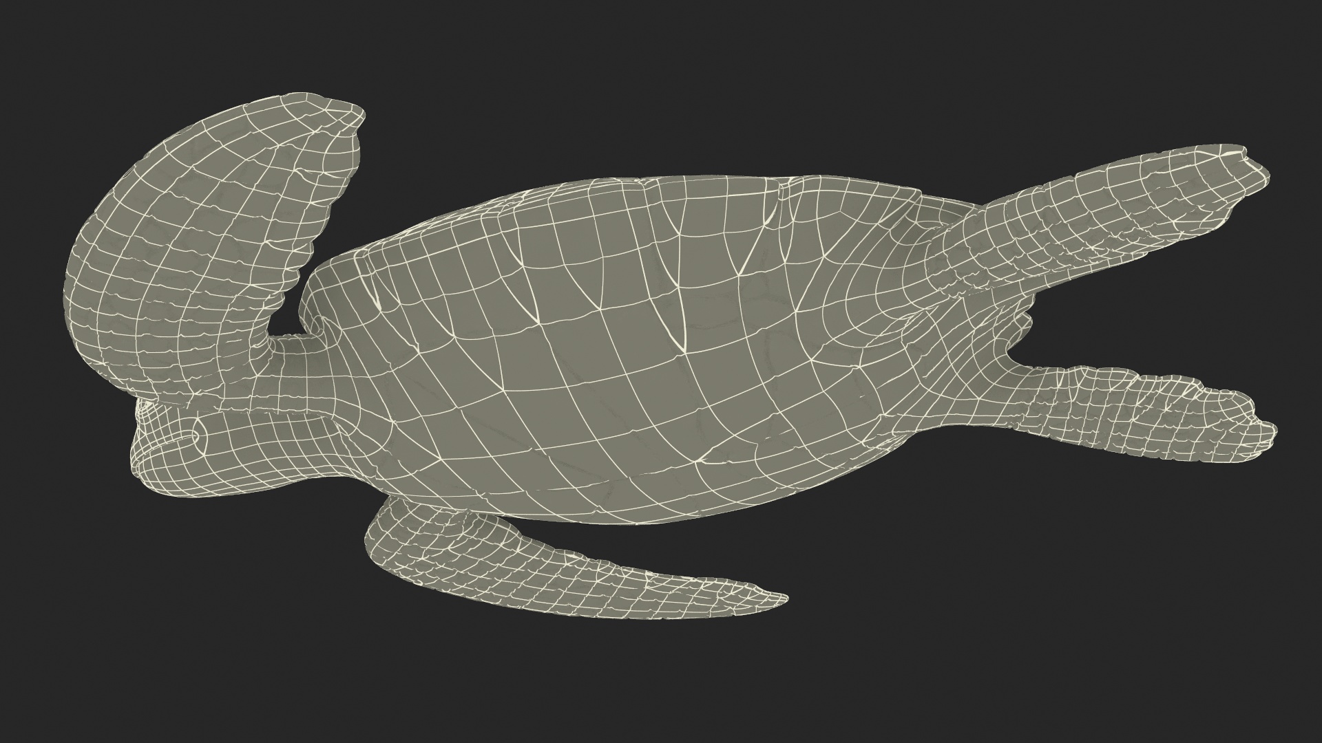 3D Sea Turtle Brown