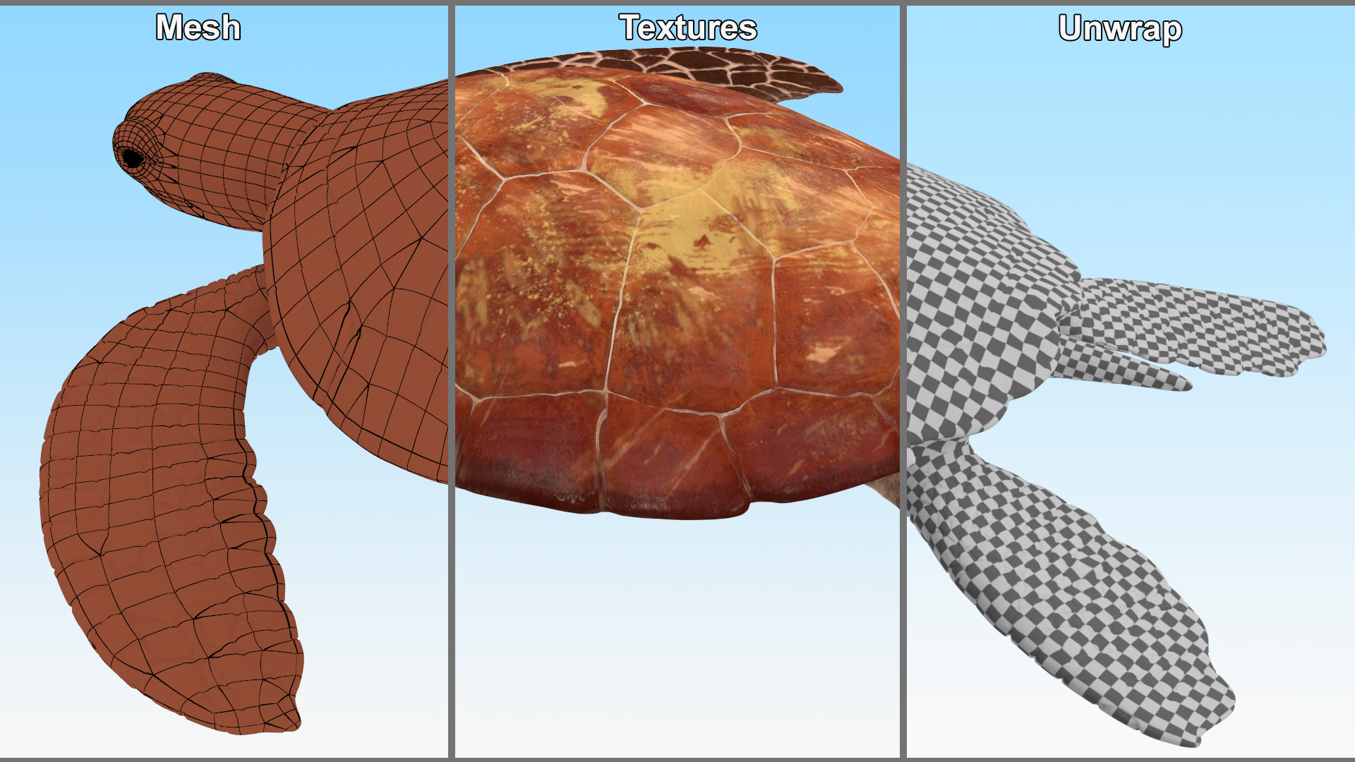 3D Sea Turtle Brown