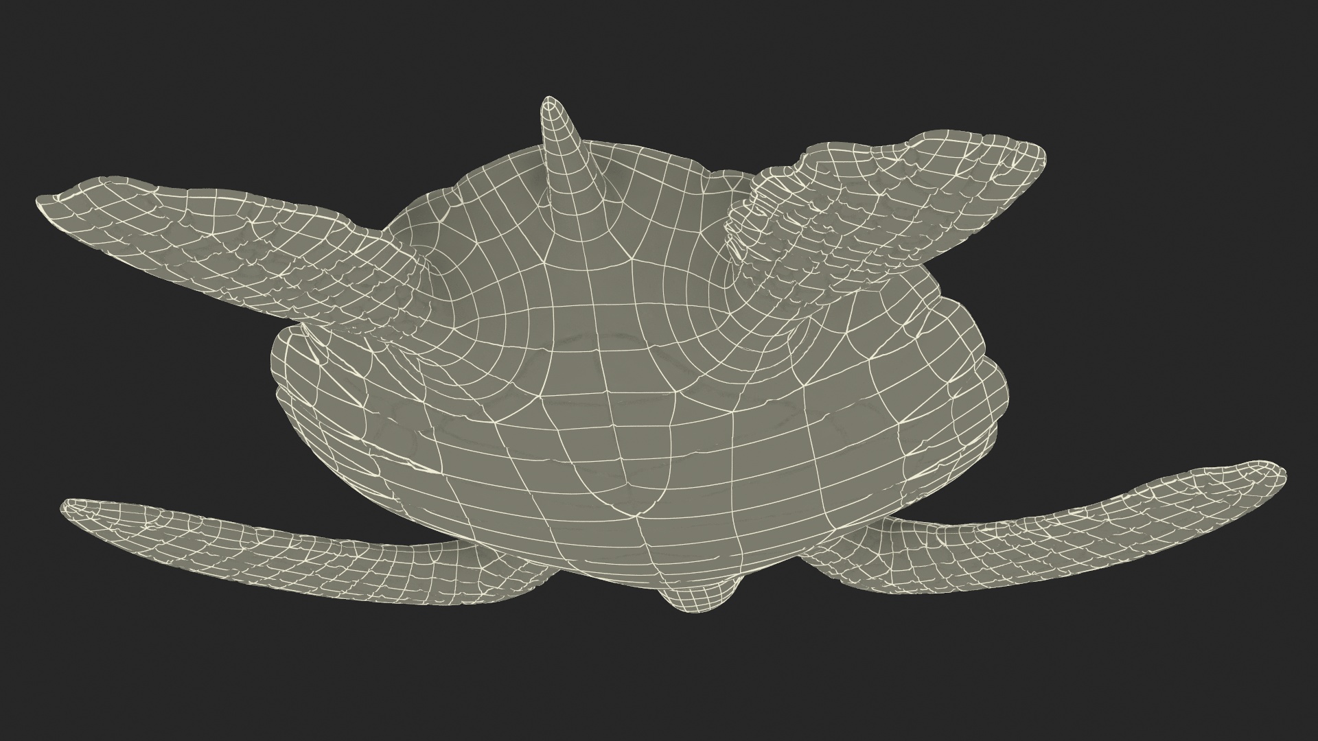 3D Sea Turtle Brown