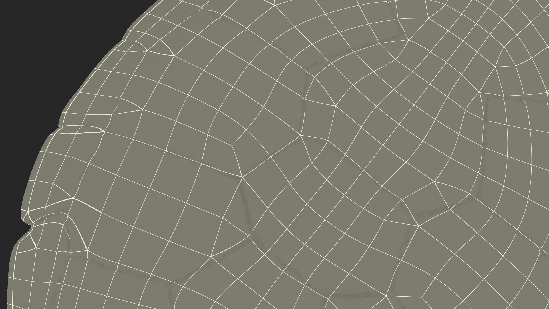 3D Sea Turtle Brown