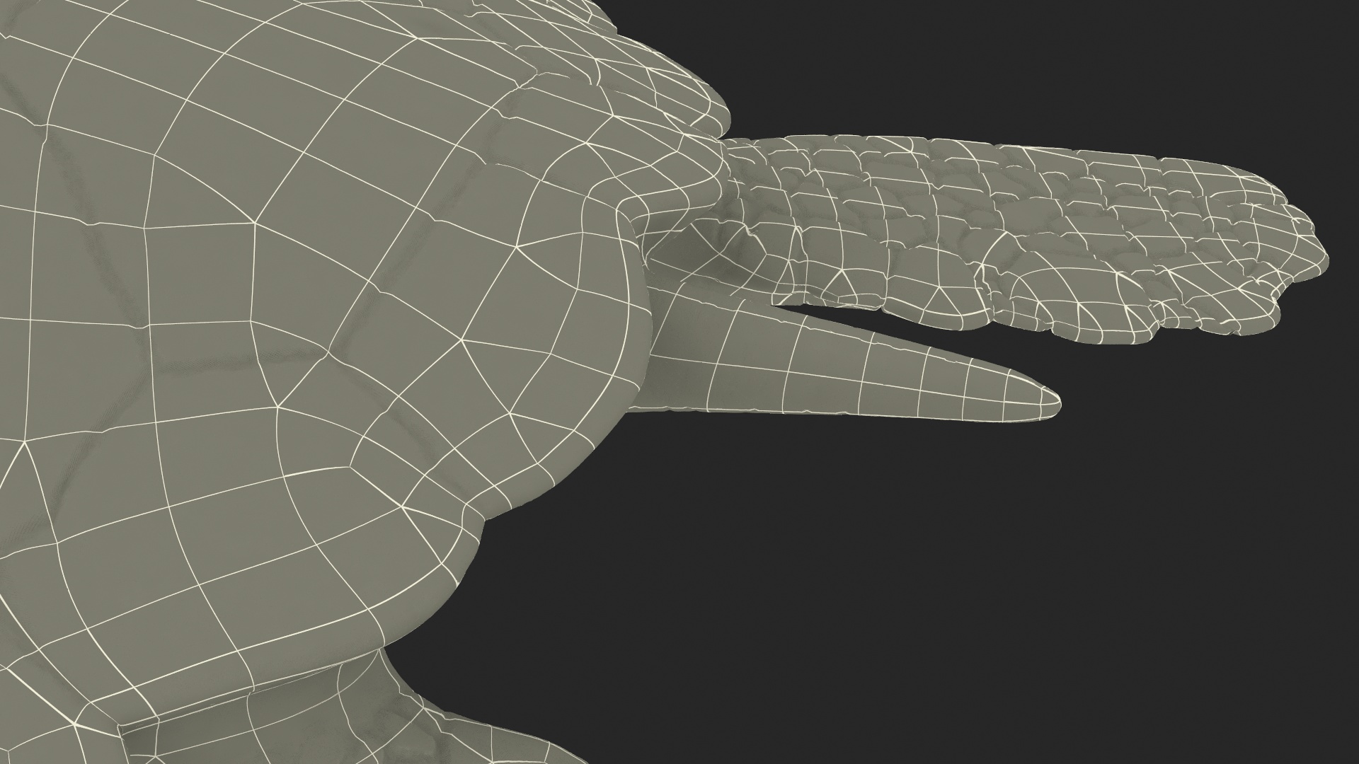 3D Sea Turtle Brown