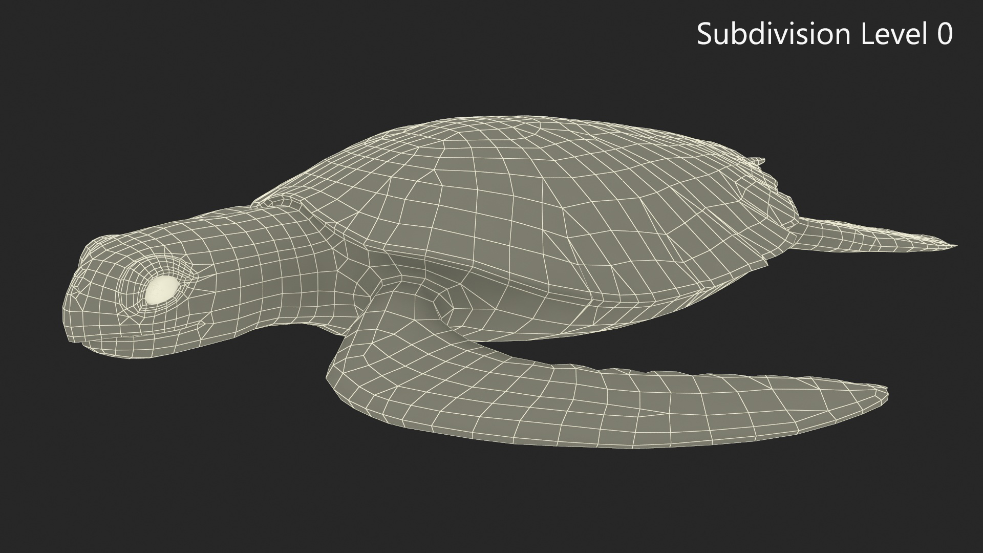 3D Sea Turtle Brown