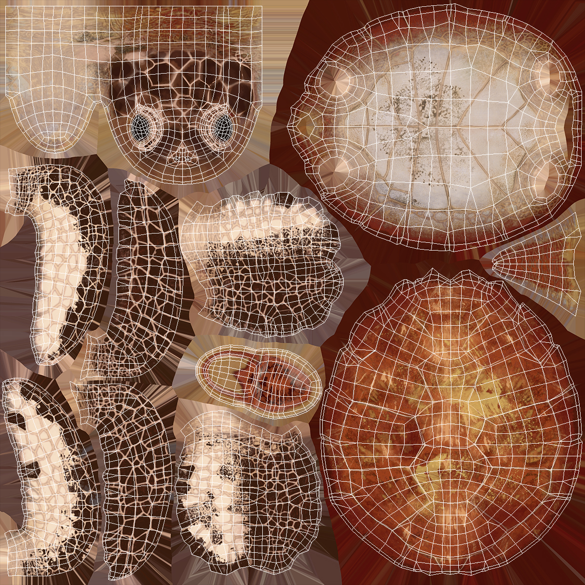 3D Sea Turtle Brown