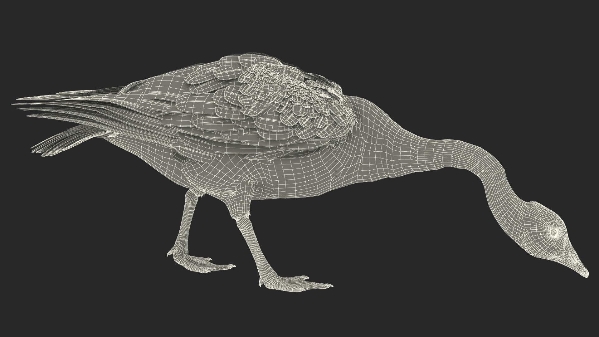 Large Wild Goose Walking Pose 3D model