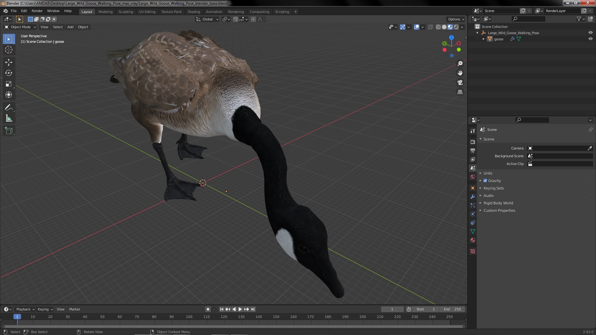 Large Wild Goose Walking Pose 3D model