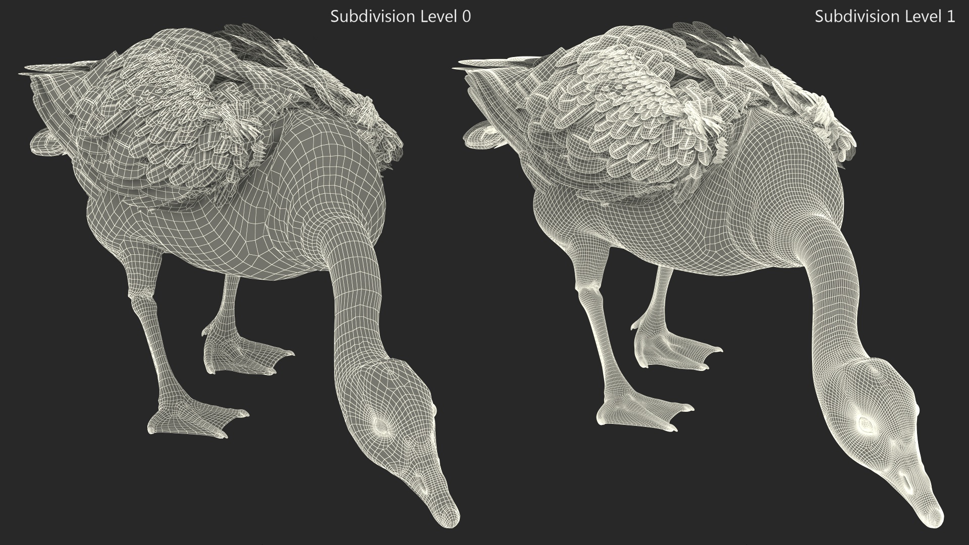 Large Wild Goose Walking Pose 3D model