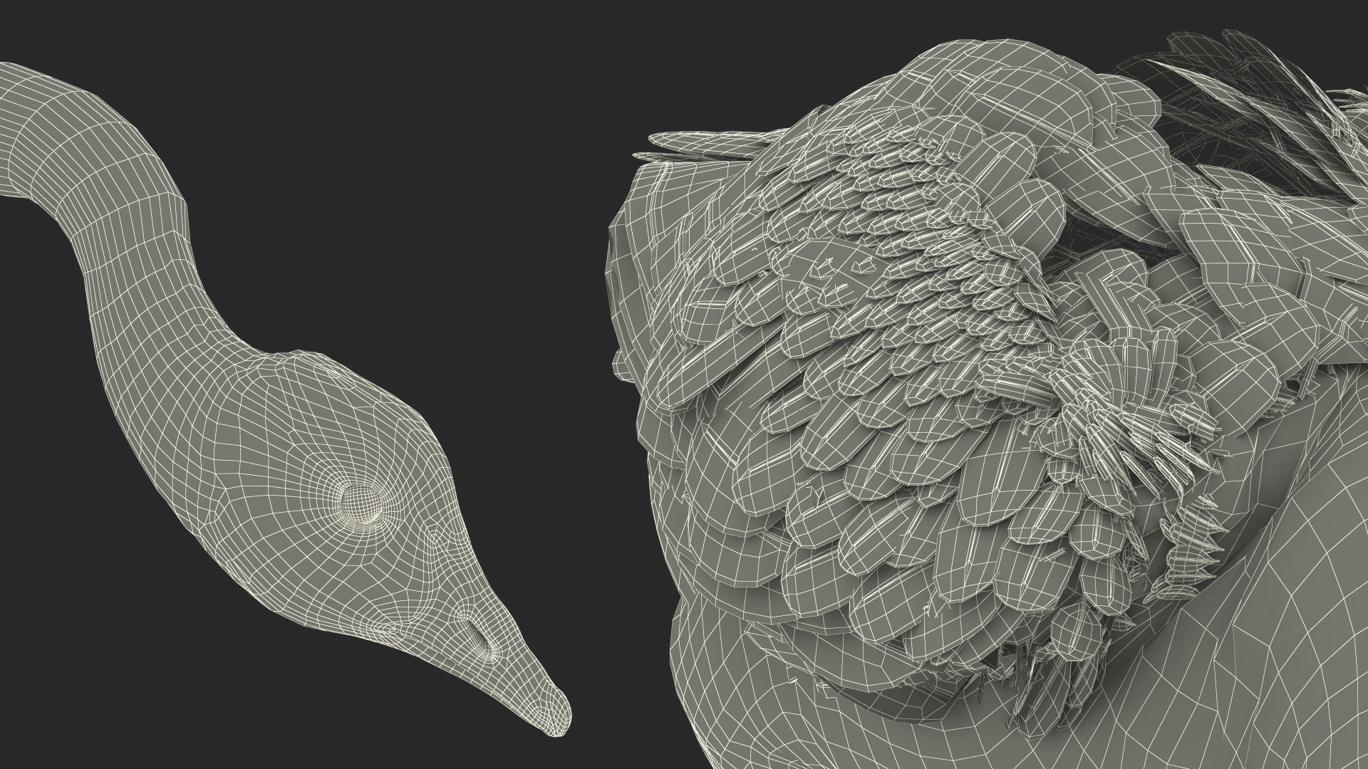 Large Wild Goose Walking Pose 3D model