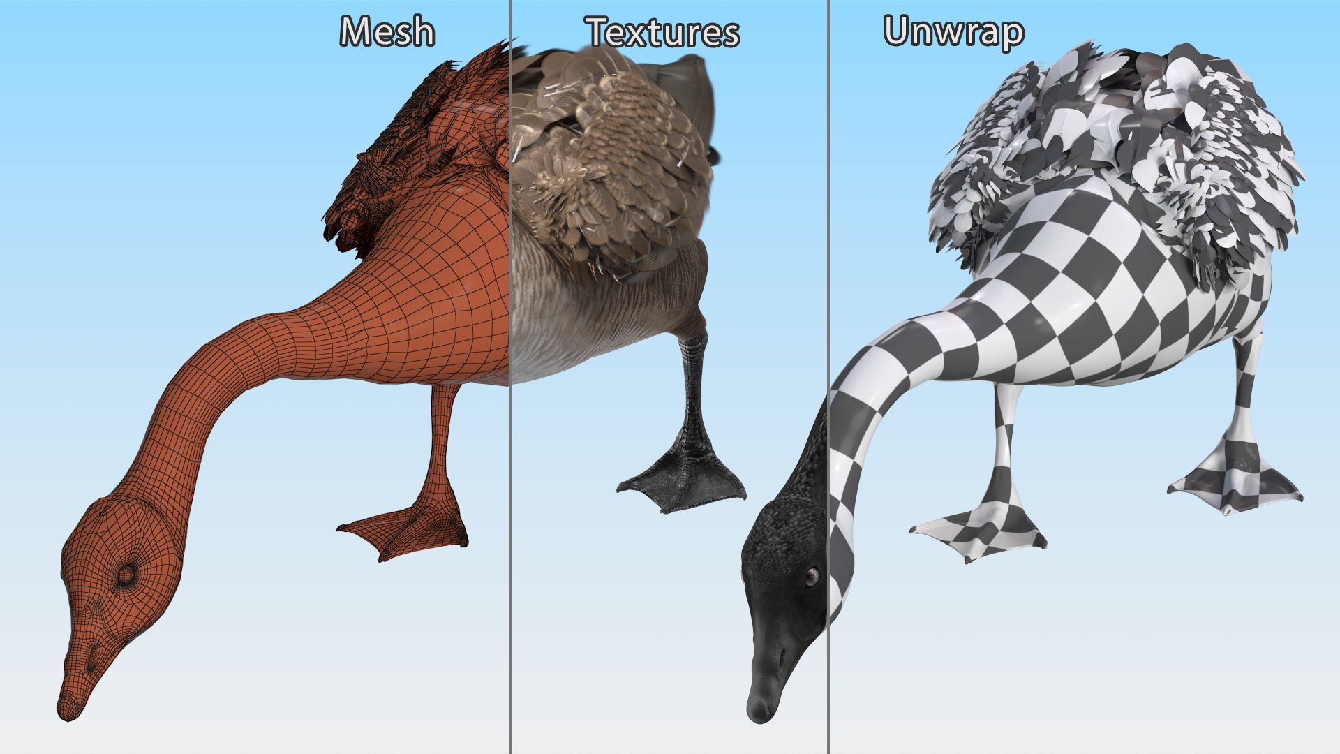 Large Wild Goose Walking Pose 3D model