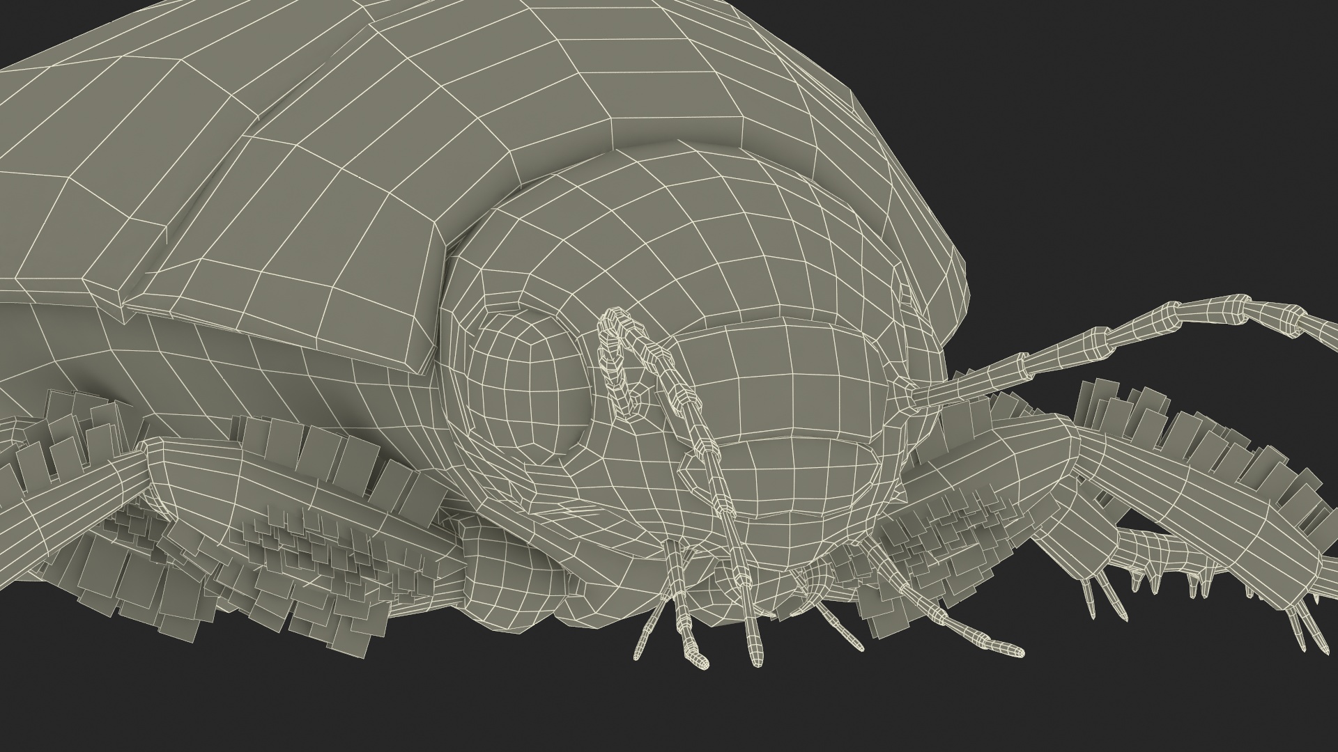Squeak Beetle Black 3D model