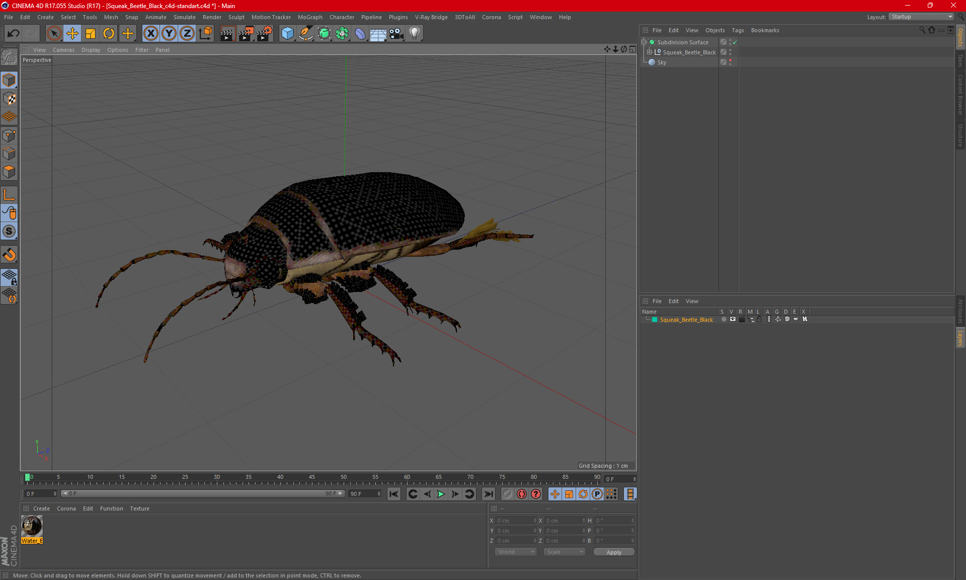 Squeak Beetle Black 3D model