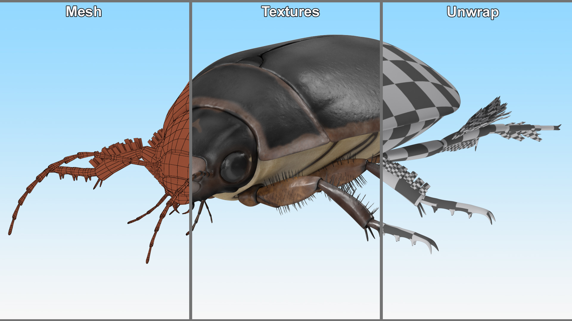 Squeak Beetle Black 3D model
