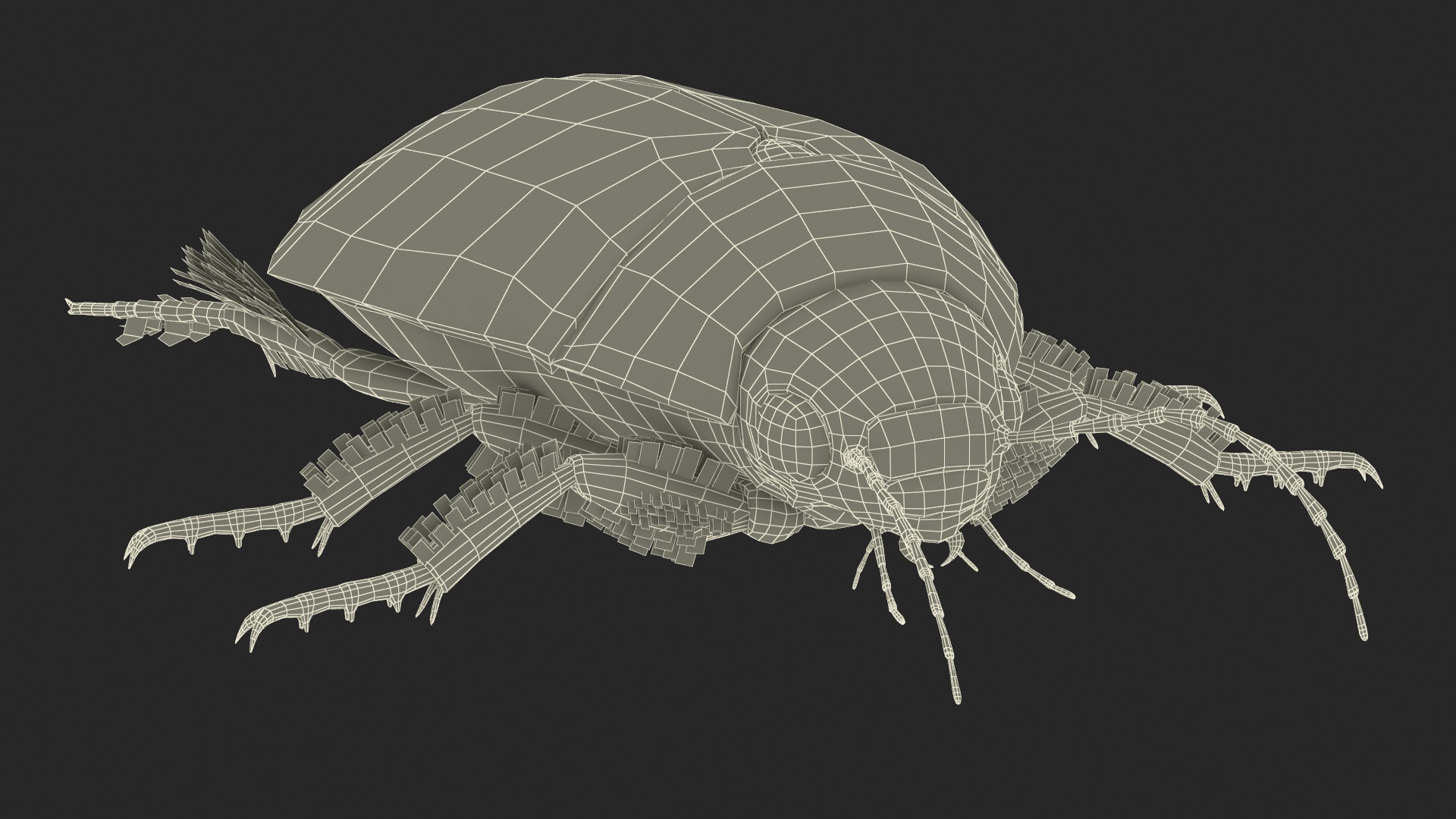 Squeak Beetle Black 3D model