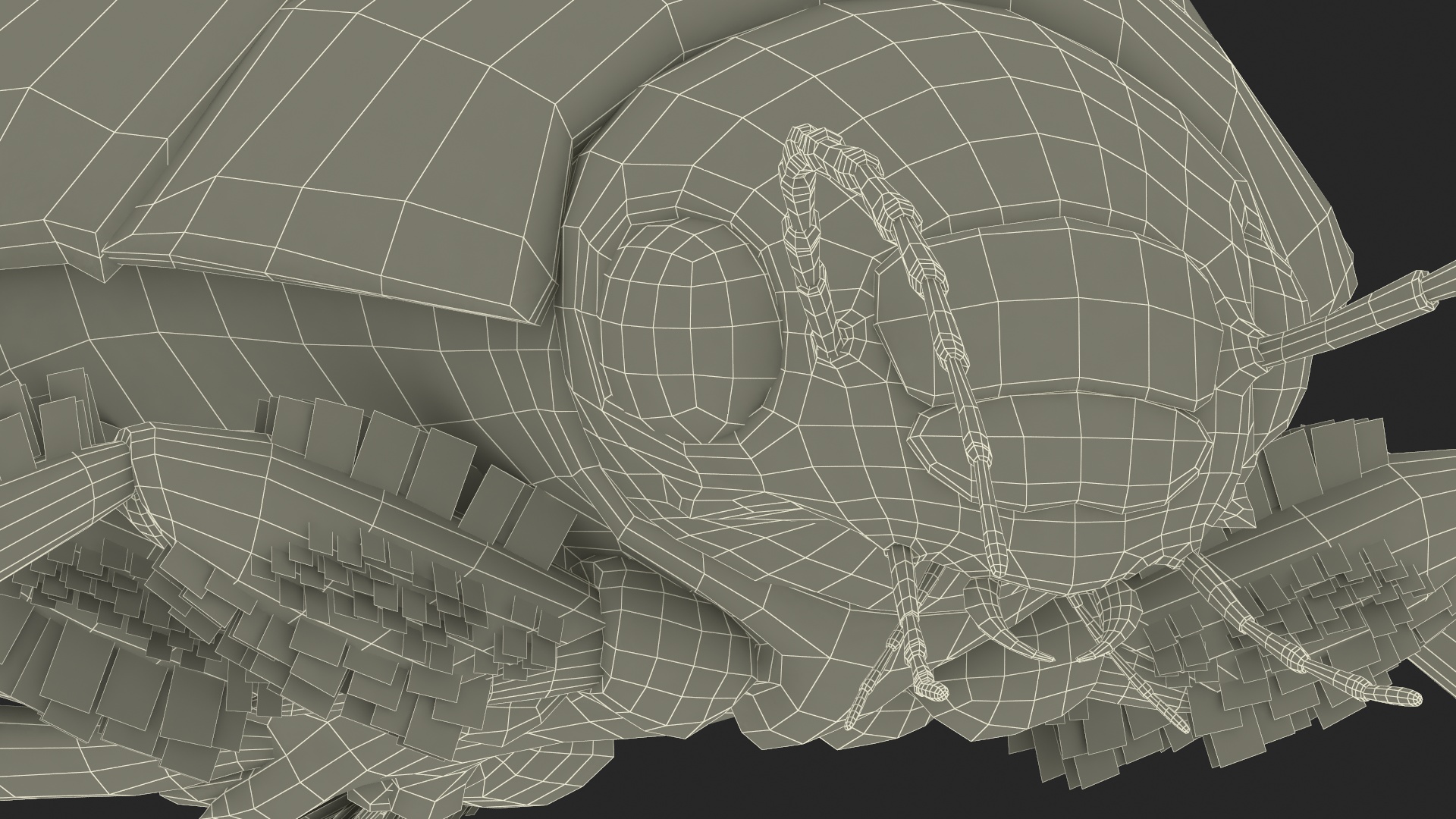 Squeak Beetle Black 3D model