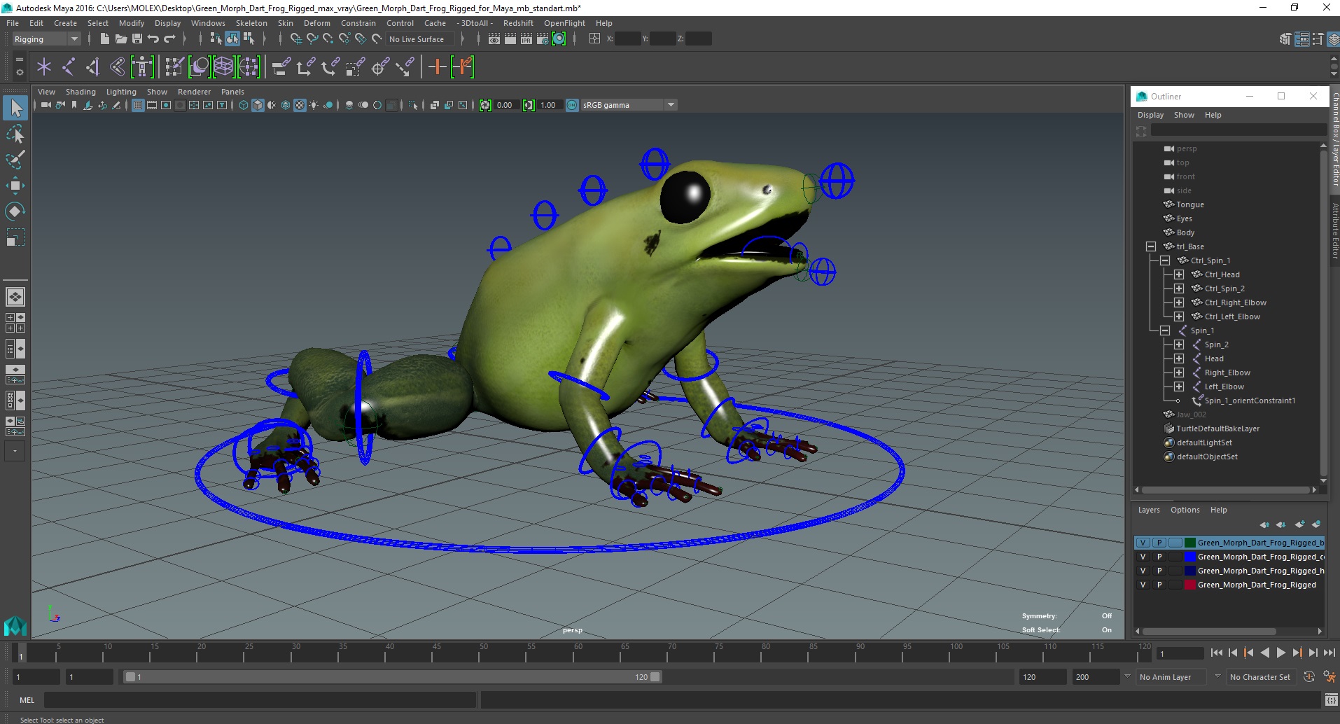 Green Morph Dart Frog Rigged for Maya 3D