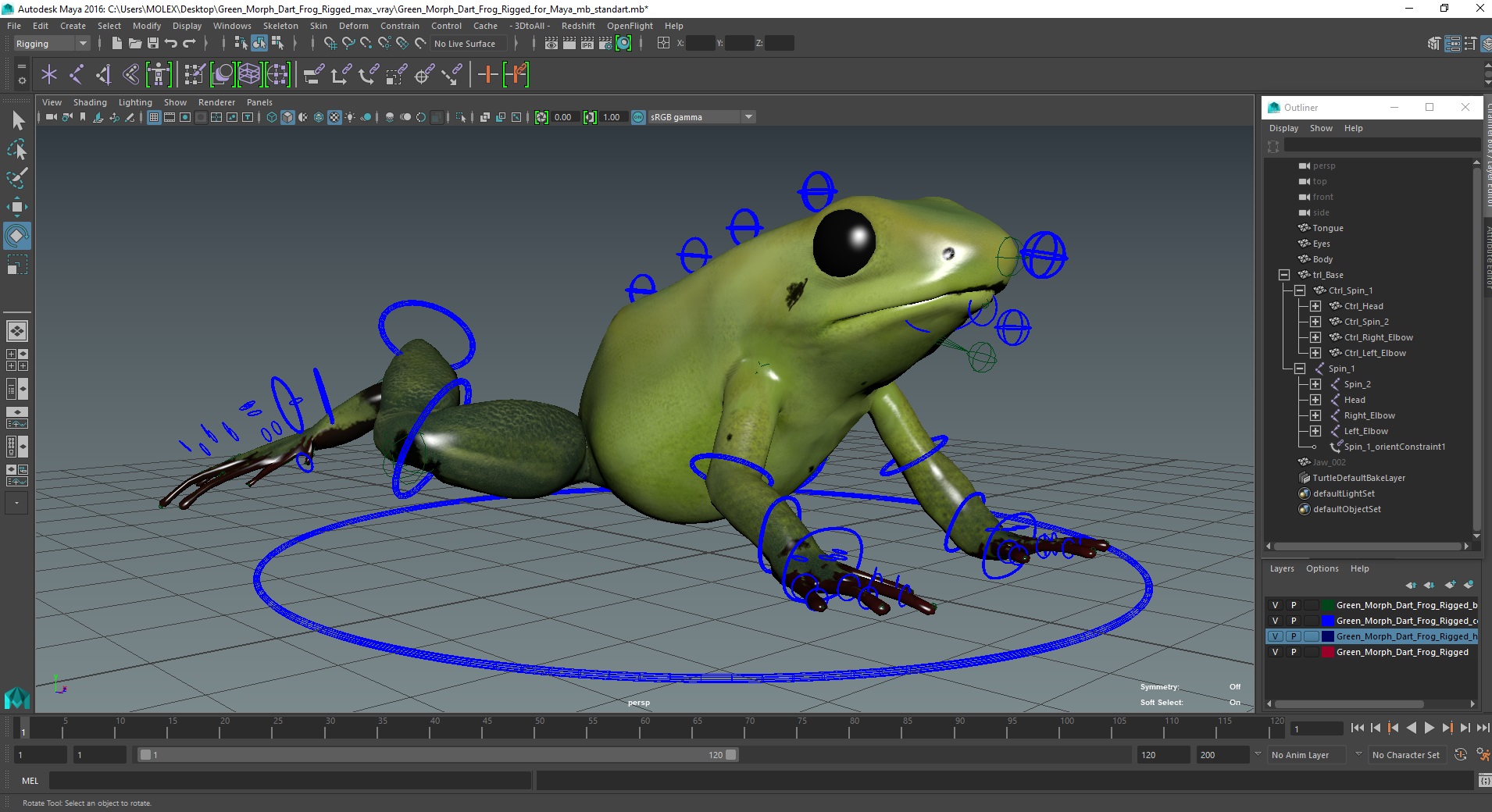 Green Morph Dart Frog Rigged for Maya 3D