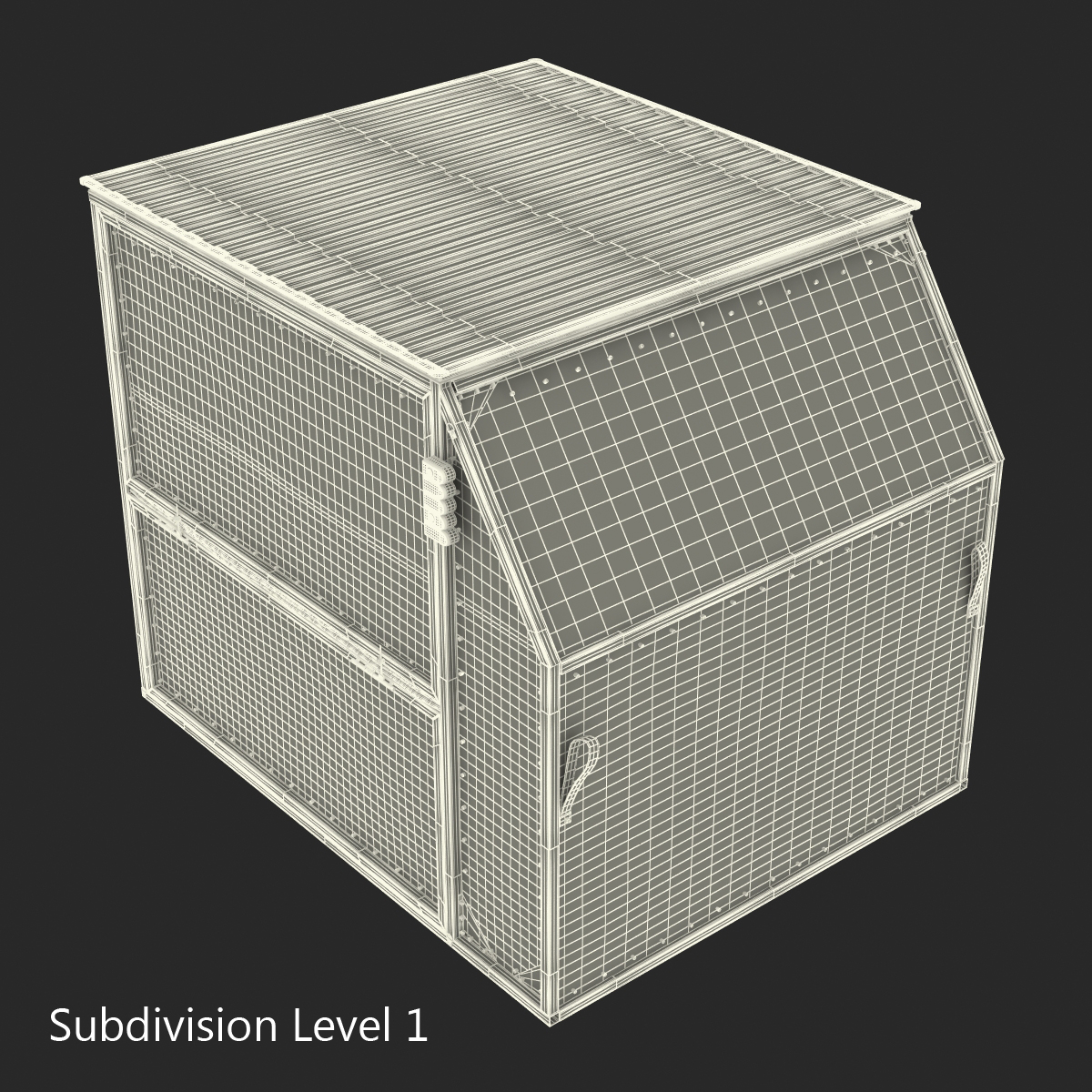 3D model Airport Container Iberia Cargo