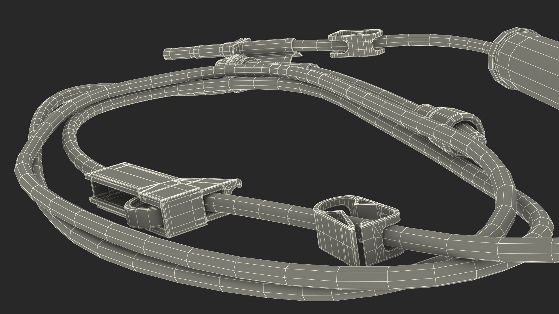 3D model IV Fluid Solution Bag and Rolled Dropper
