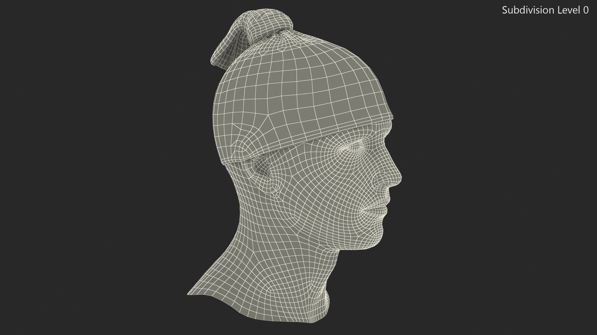 3D Neck Gaiter weared on Head Camo