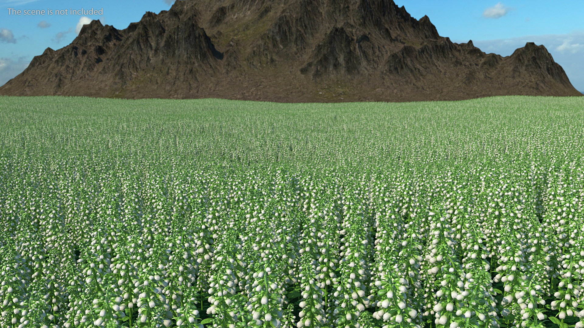 White Foxglove Stem 3D model