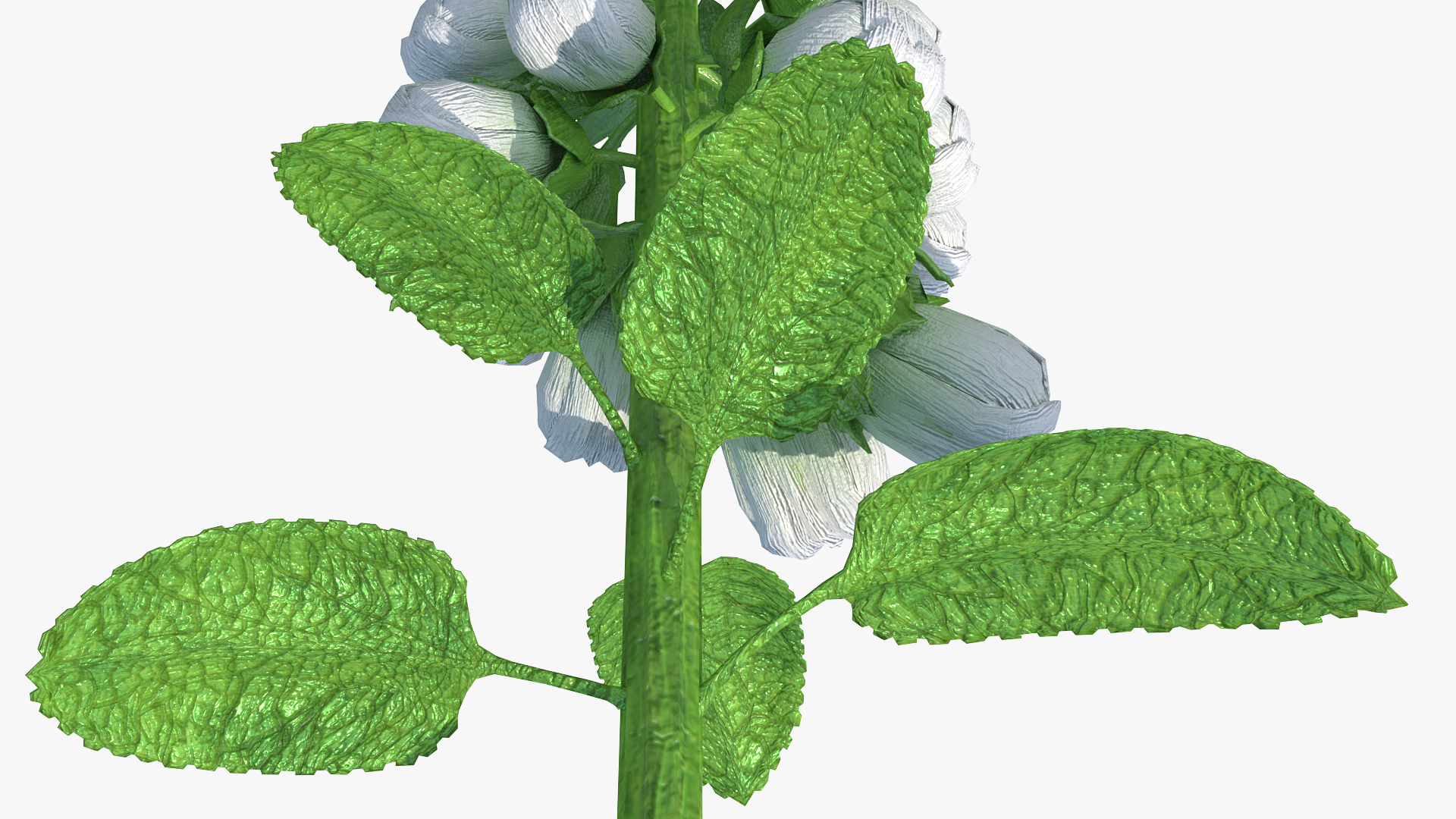 White Foxglove Stem 3D model