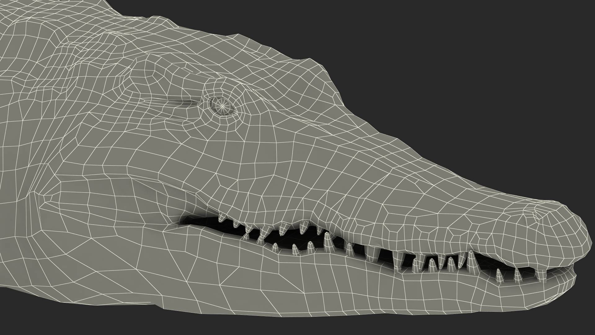 3D Animated Crocodile Walking Rigged model