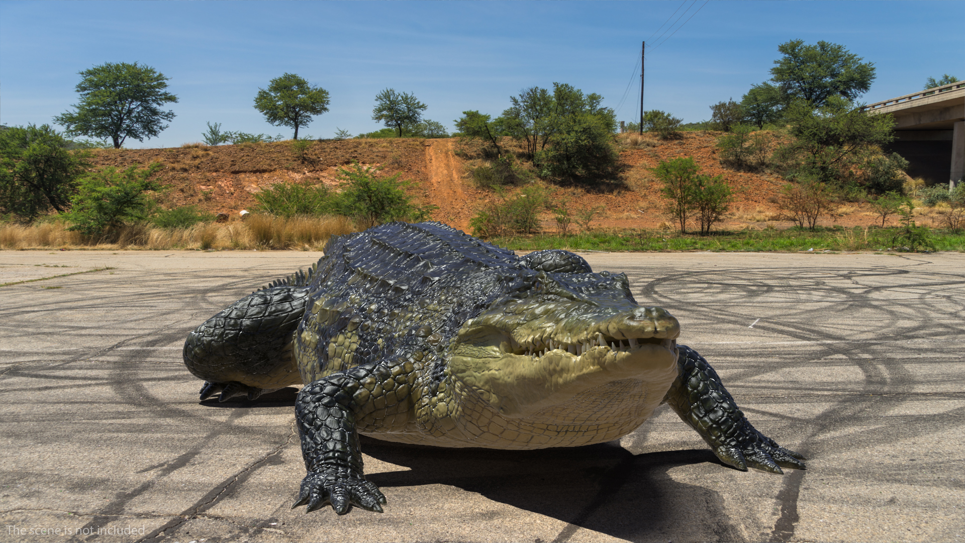 3D Animated Crocodile Walking Rigged model