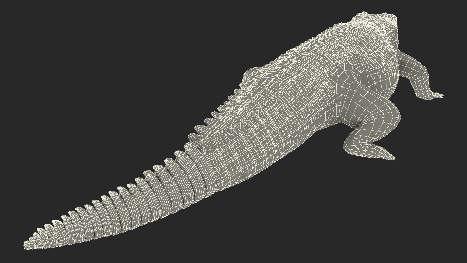 3D Animated Crocodile Walking Rigged model