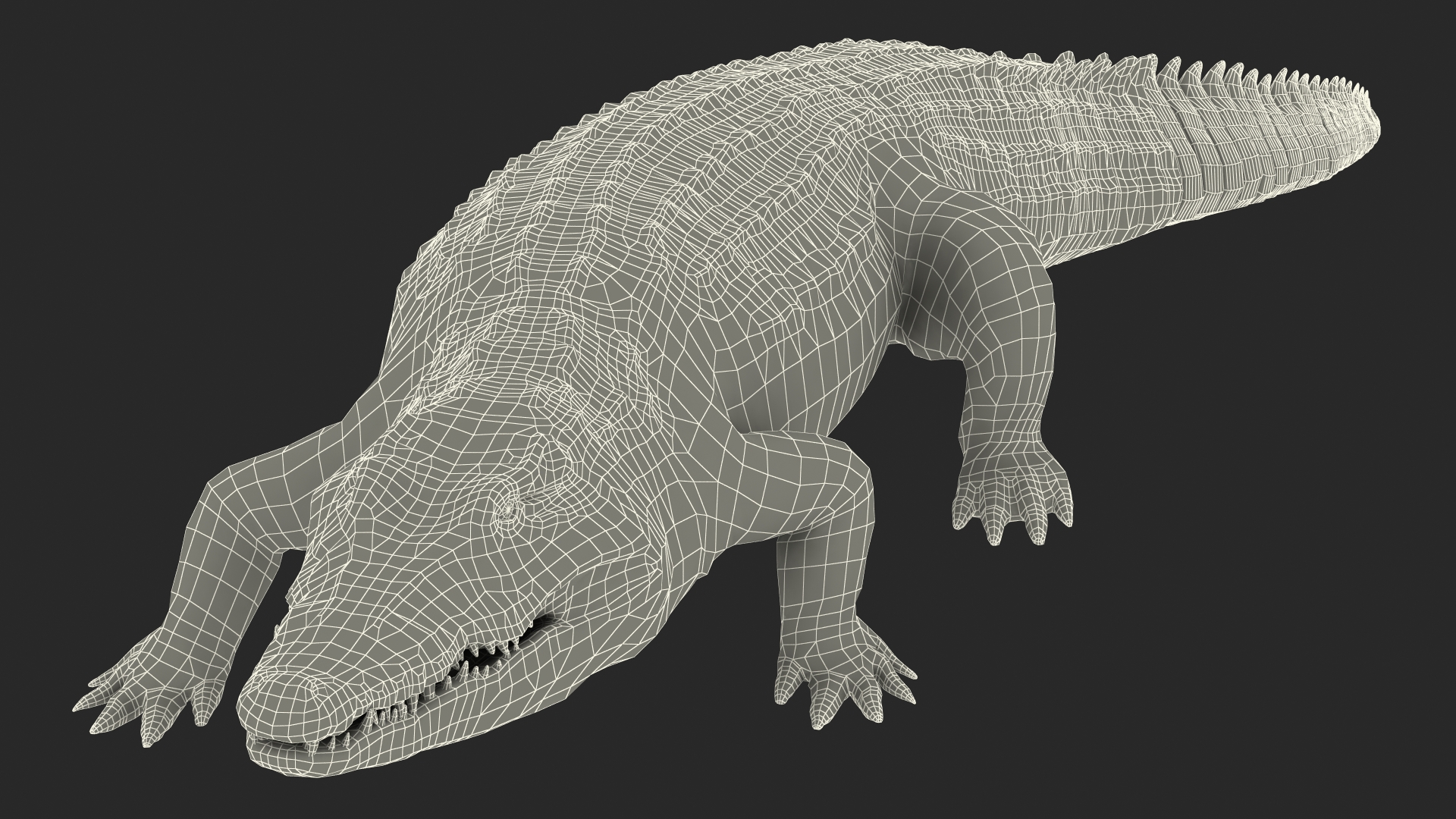 3D Animated Crocodile Walking Rigged model
