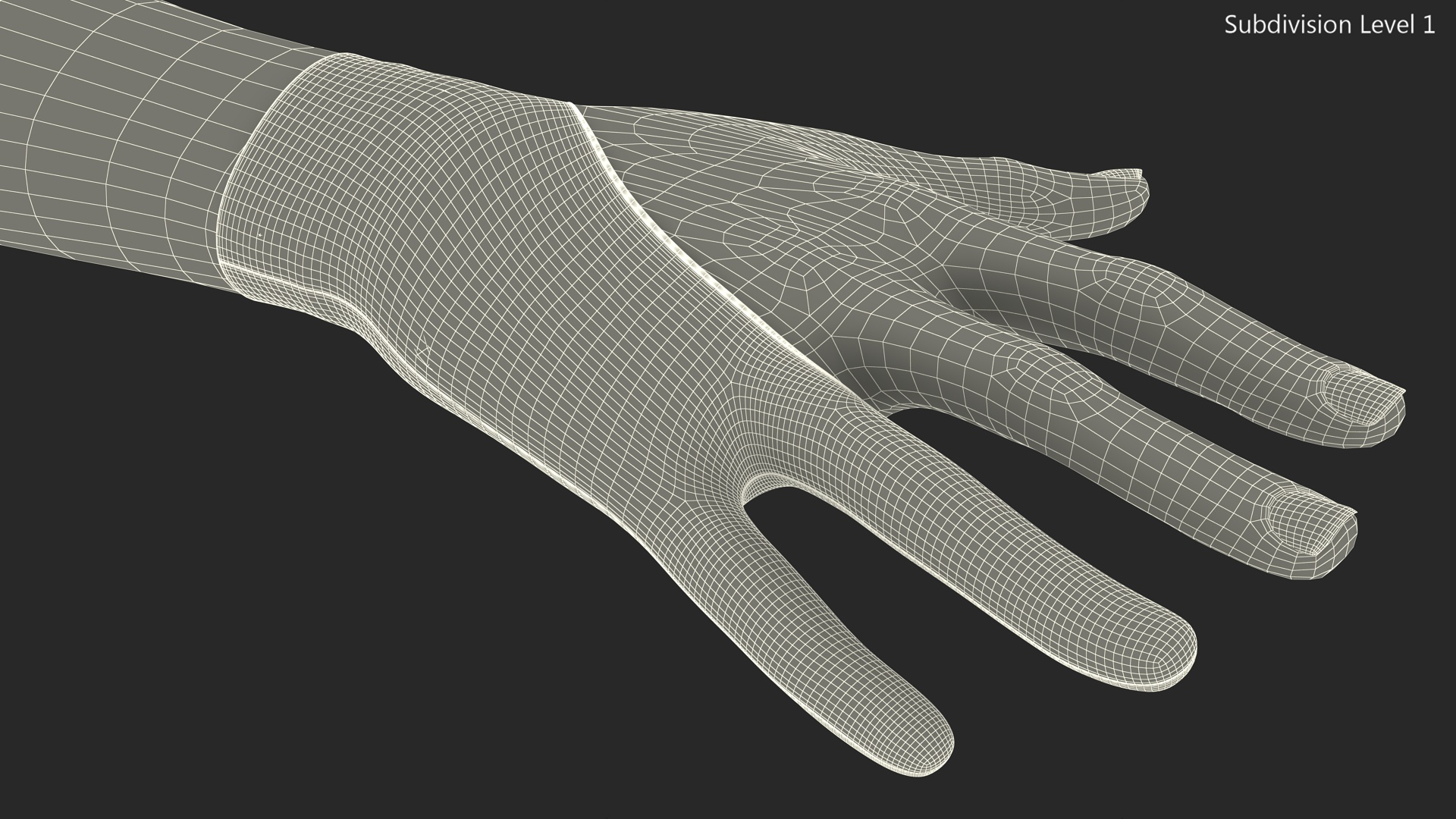 Digital Painters Glove Blue 3D