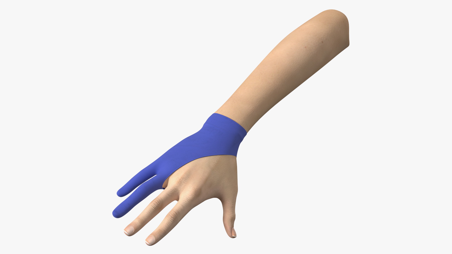 Digital Painters Glove Blue 3D