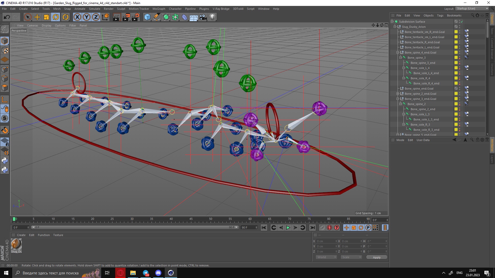 Slug Dusky Arion Rigged for Cinema 4D 3D