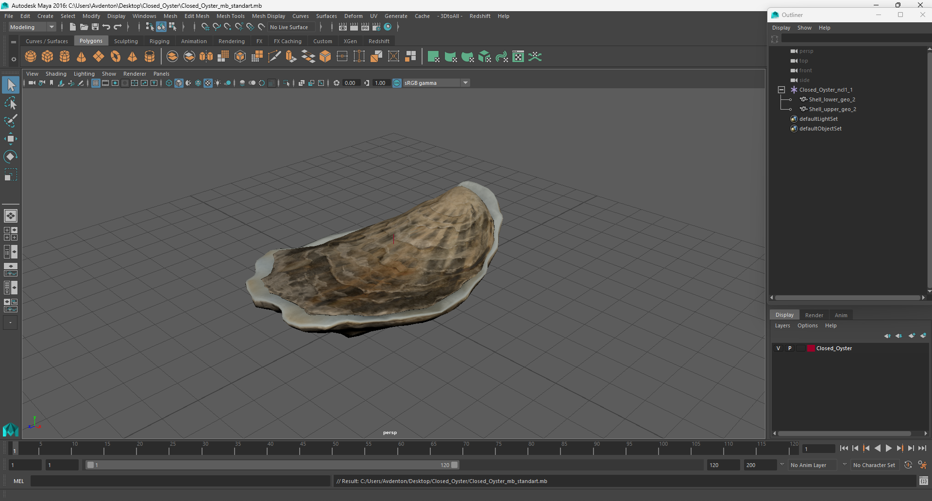 3D Closed Oyster model