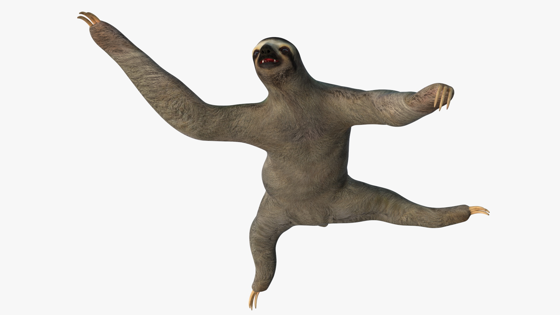 3D Sloth Rigged for Maya