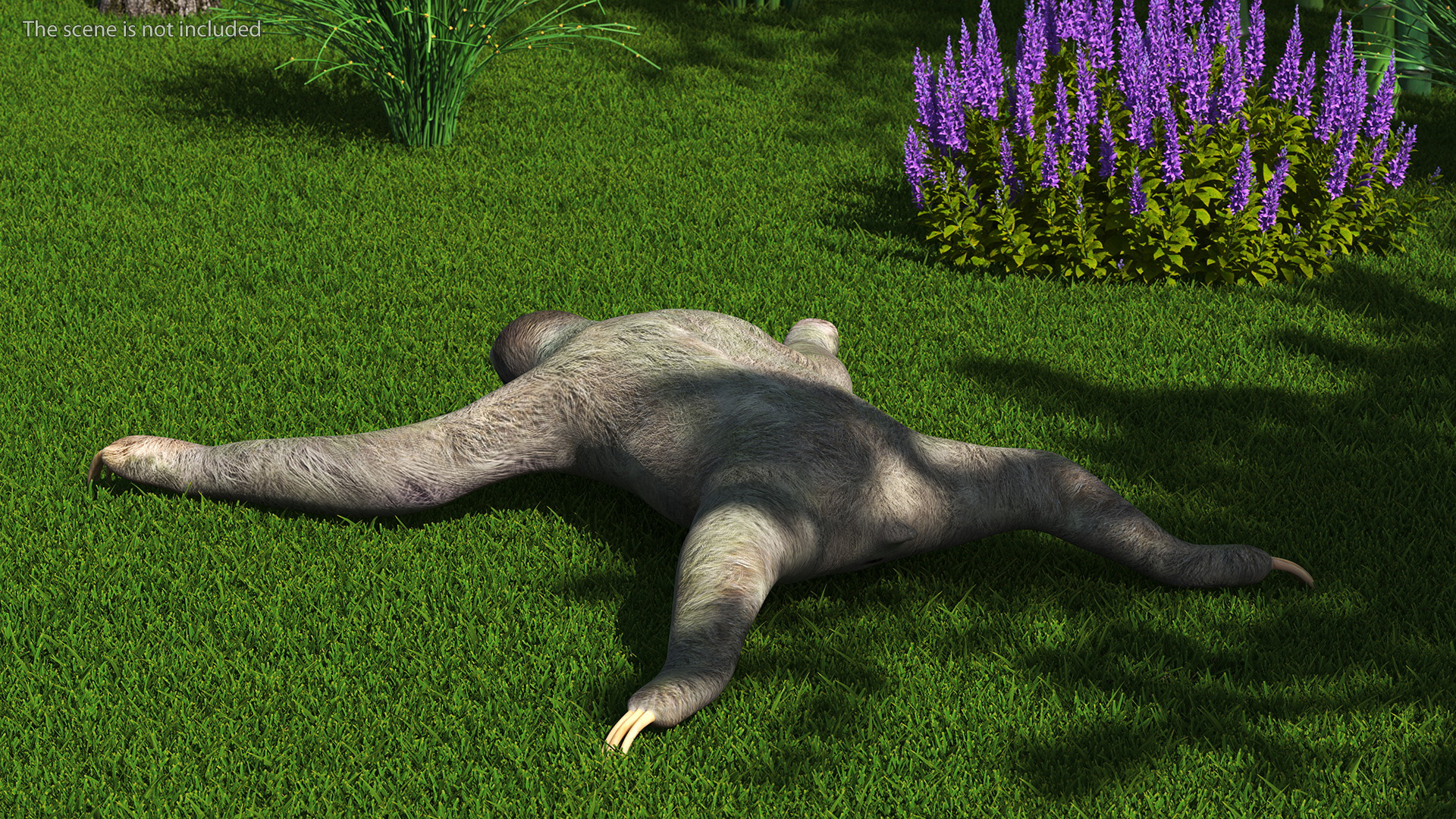 3D Sloth Rigged for Maya