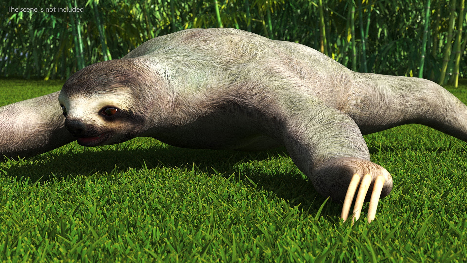 3D Sloth Rigged for Maya