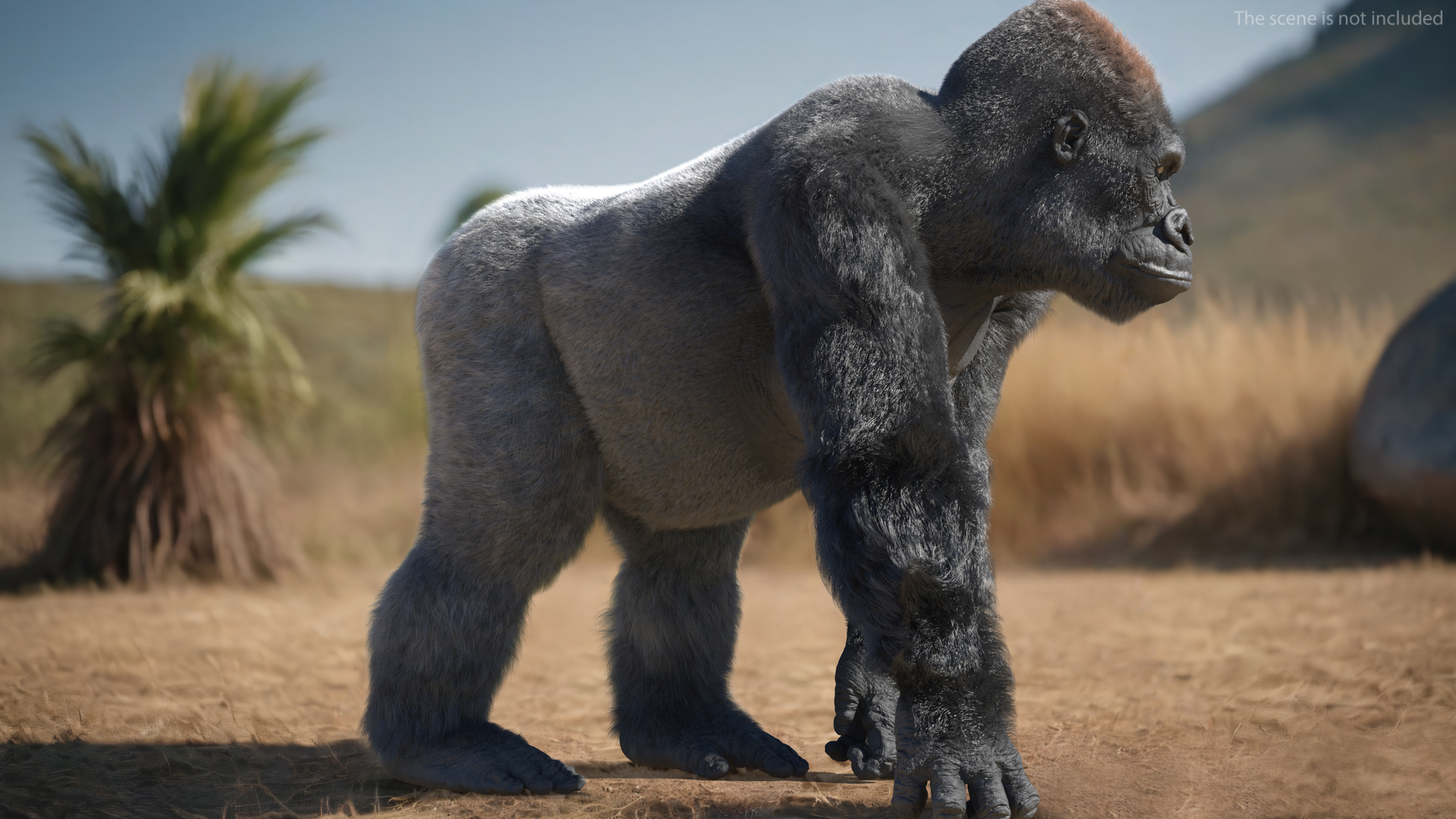 3D model Gorilla Western Lowland Walking Pose Fur