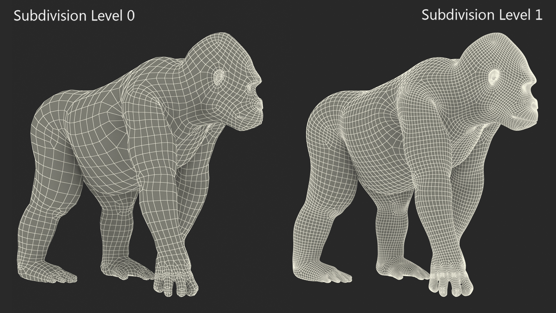 3D model Gorilla Western Lowland Walking Pose Fur
