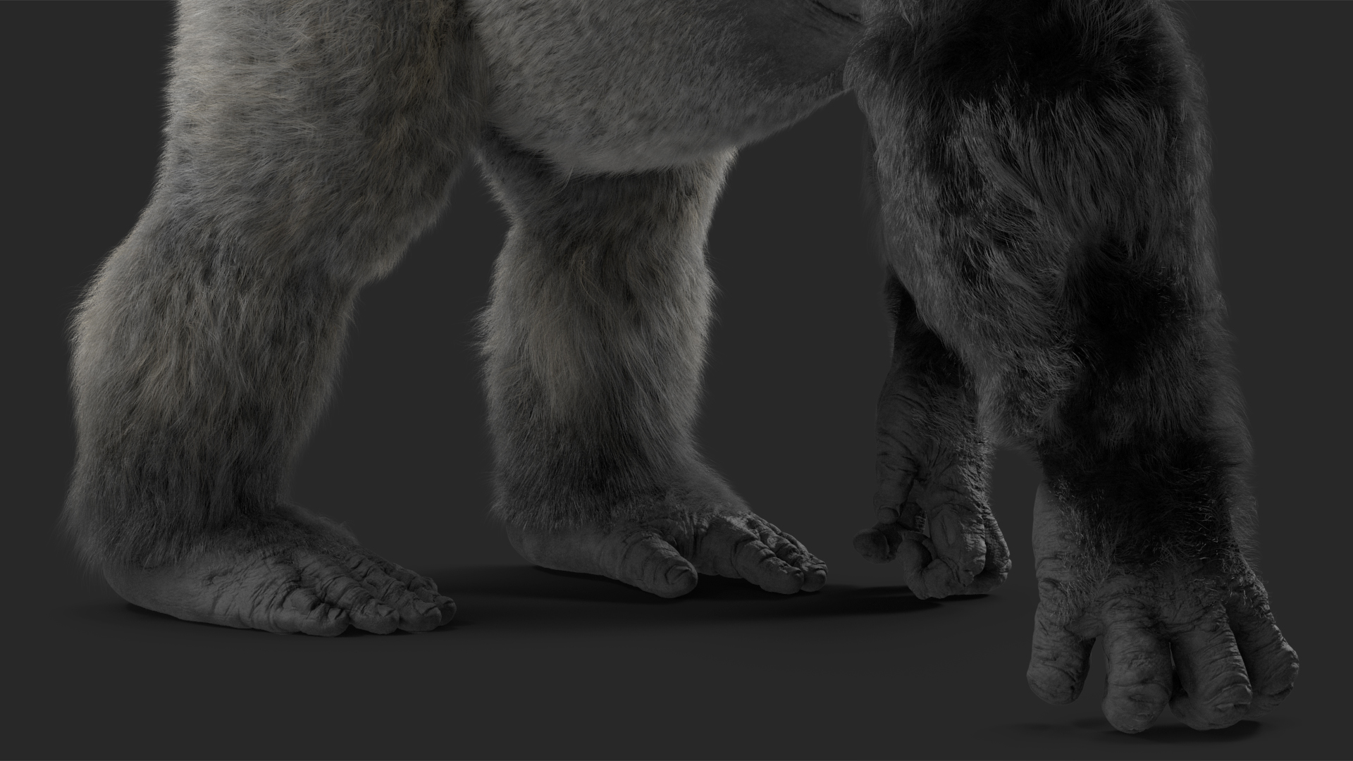 3D model Gorilla Western Lowland Walking Pose Fur