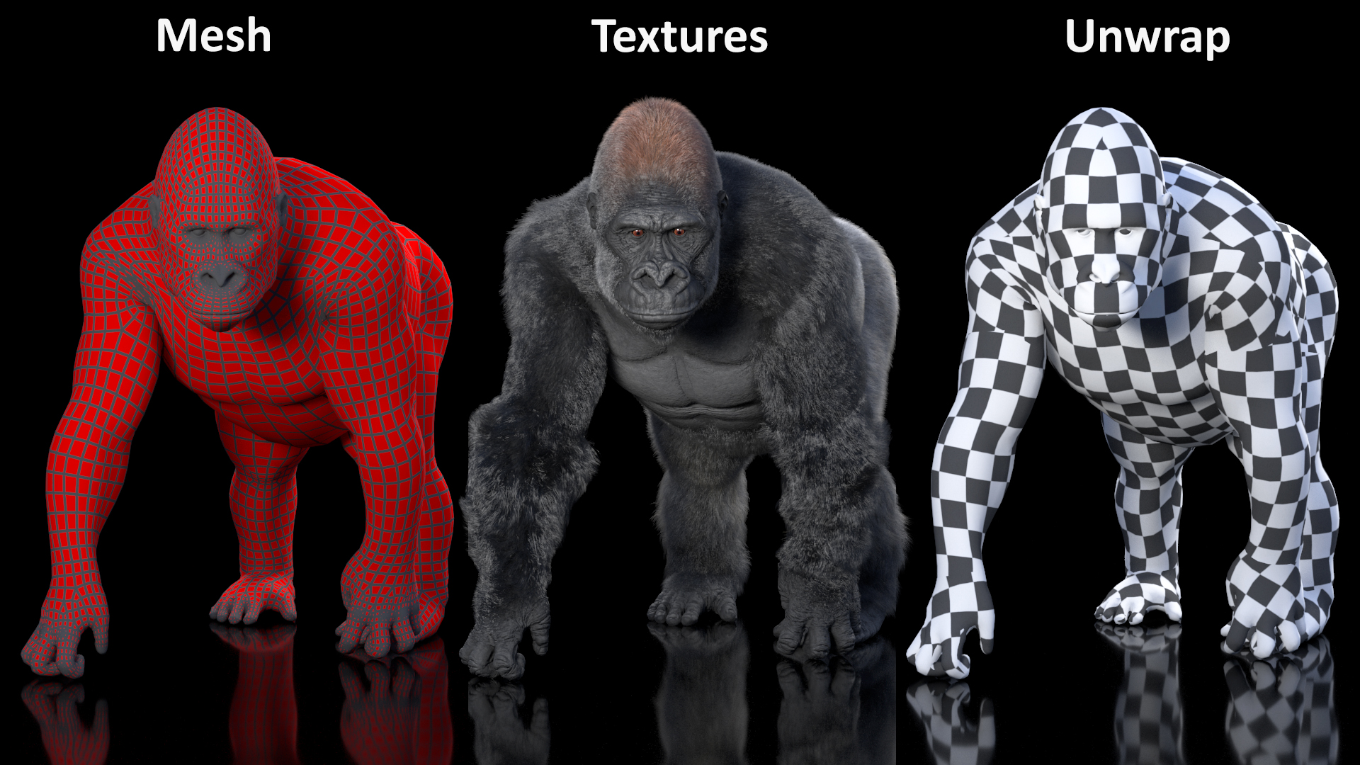 3D model Gorilla Western Lowland Walking Pose Fur