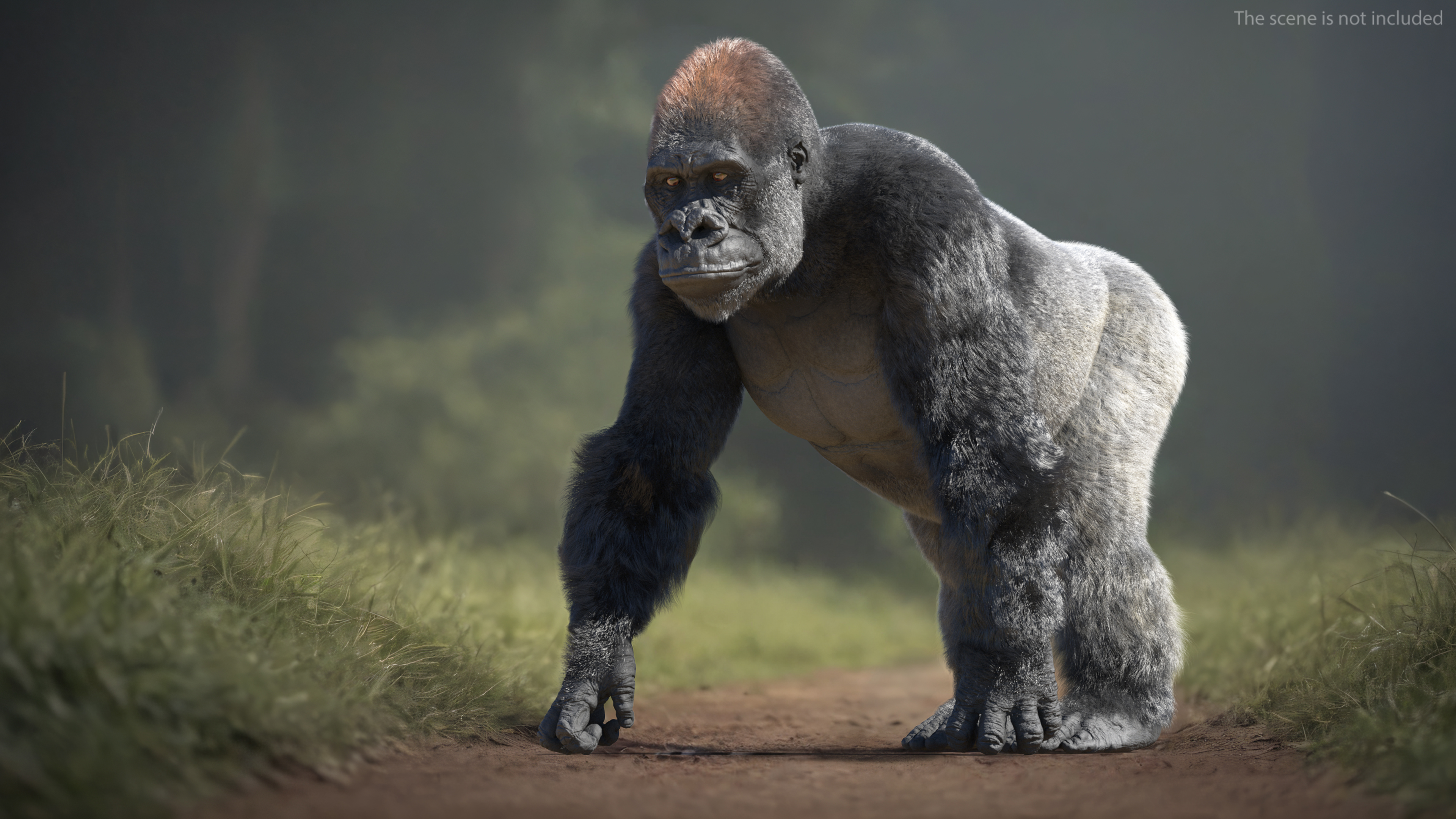 3D model Gorilla Western Lowland Walking Pose Fur